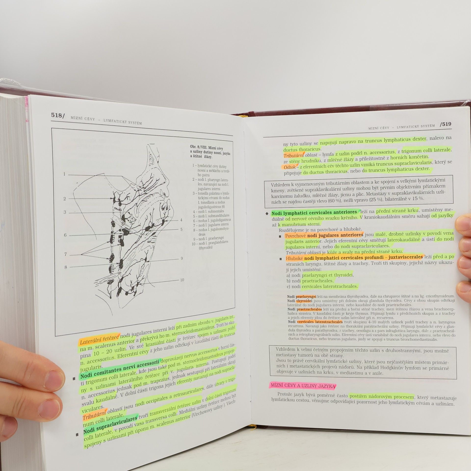 Pavel Petrovický Anatomie s topografií a klinickými aplikacemi. II. svazek. Orgány a cévy