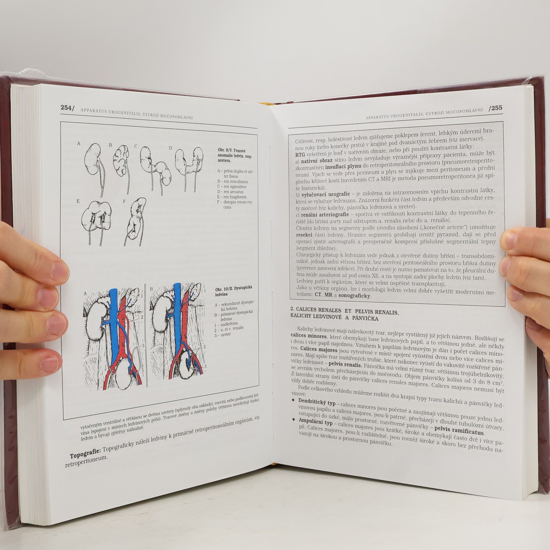 Pavel Petrovický Anatomie s topografií a klinickými aplikacemi. II. svazek. Orgány a cévy