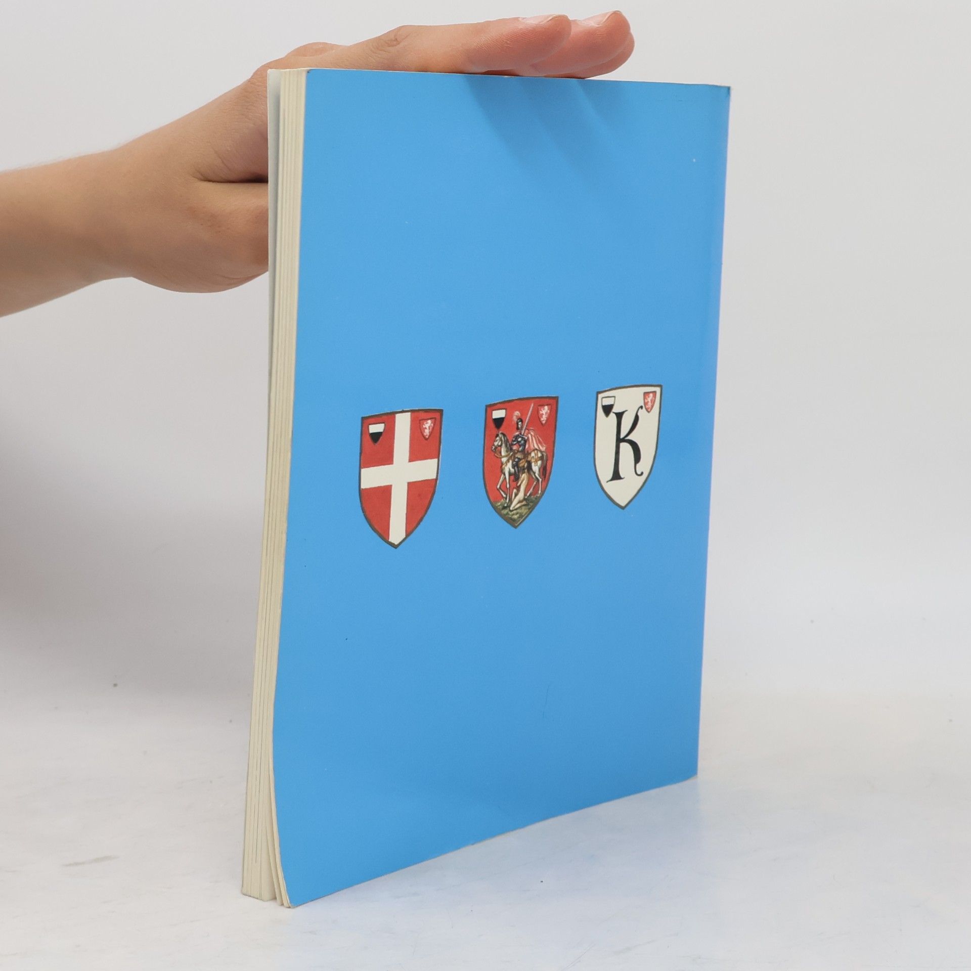 Autorenkollektiv Siena. Geschichte, Kunst und Traditionen