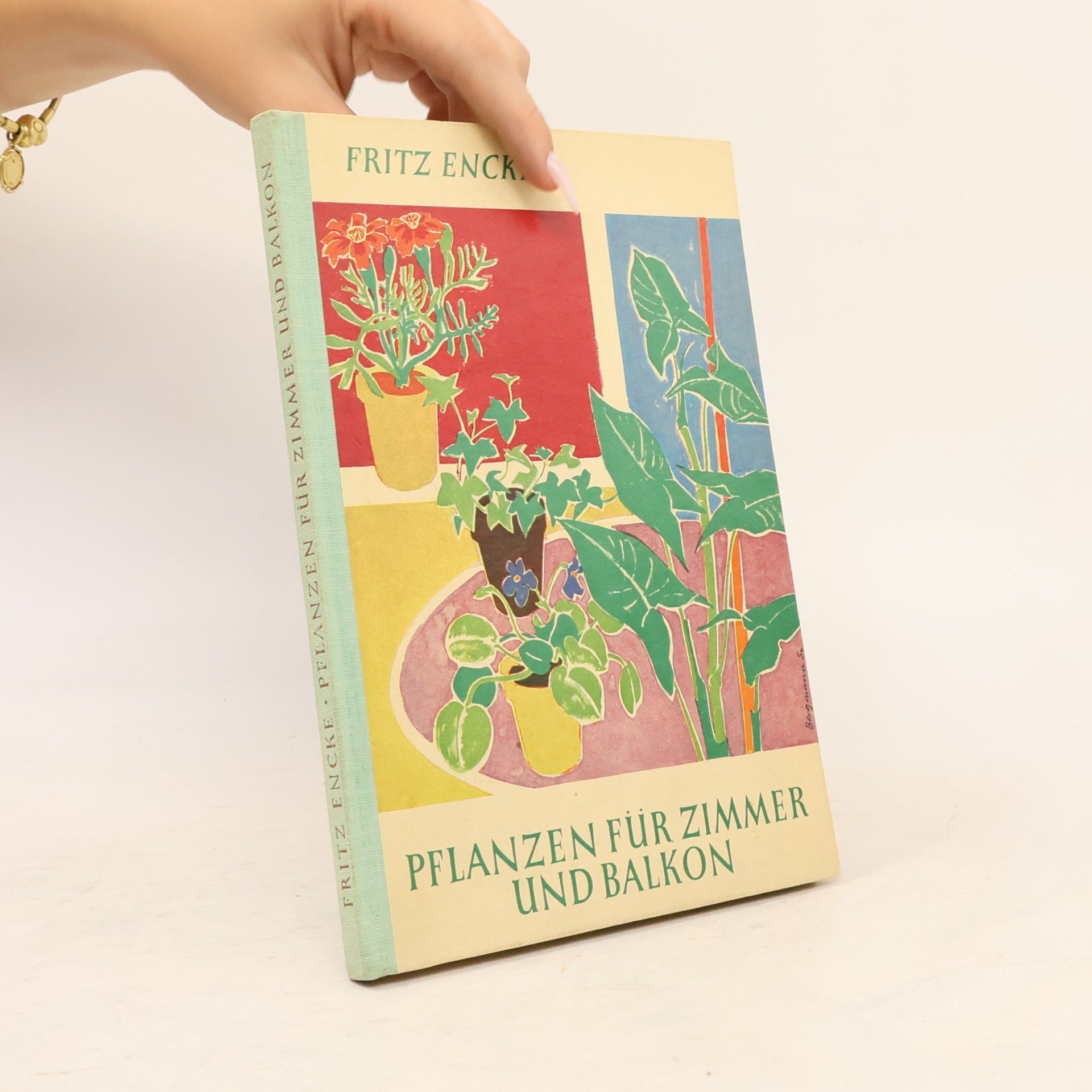 Fritz Encke Pflanzen für Zimmer und Balkon
