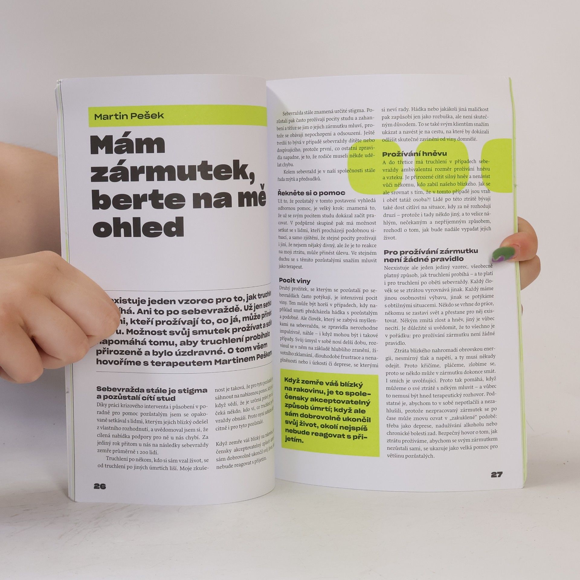 Alena Scheinostová Sebevražda... a jak dál?!