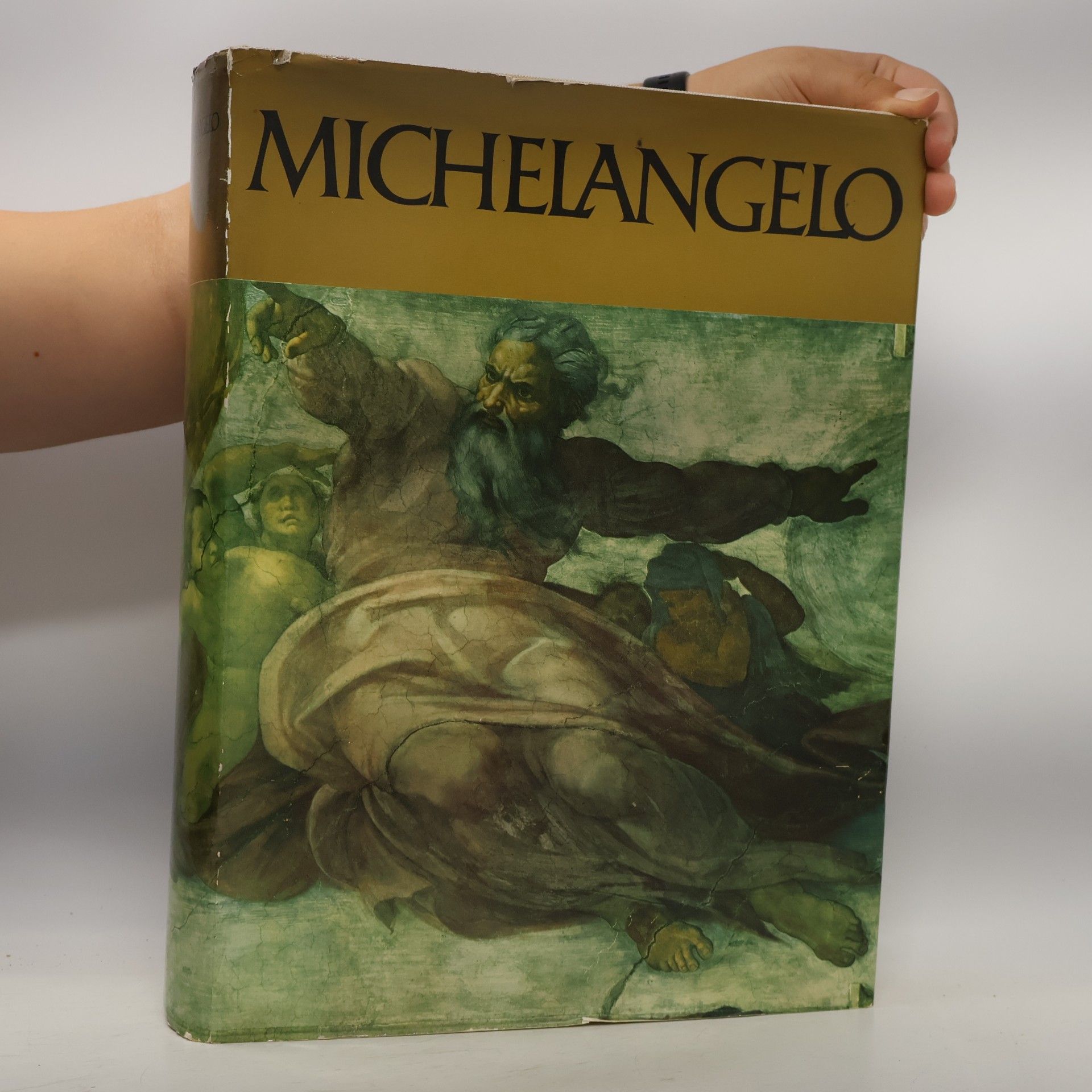 Various authors Michelangelo