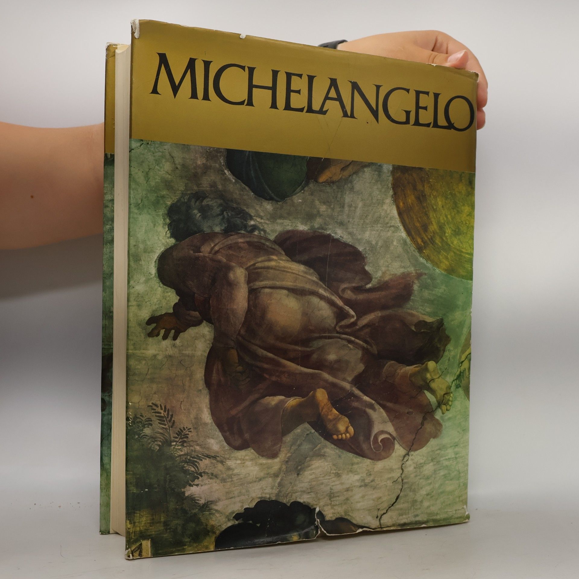 Autorenkollektiv Michelangelo