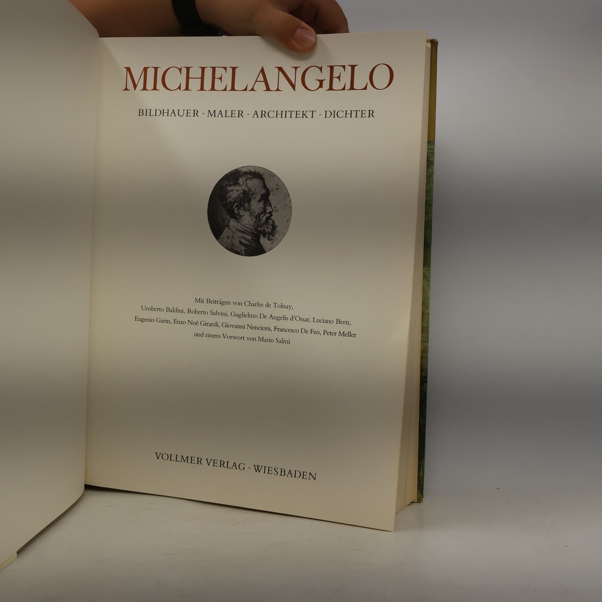Autorenkollektiv Michelangelo