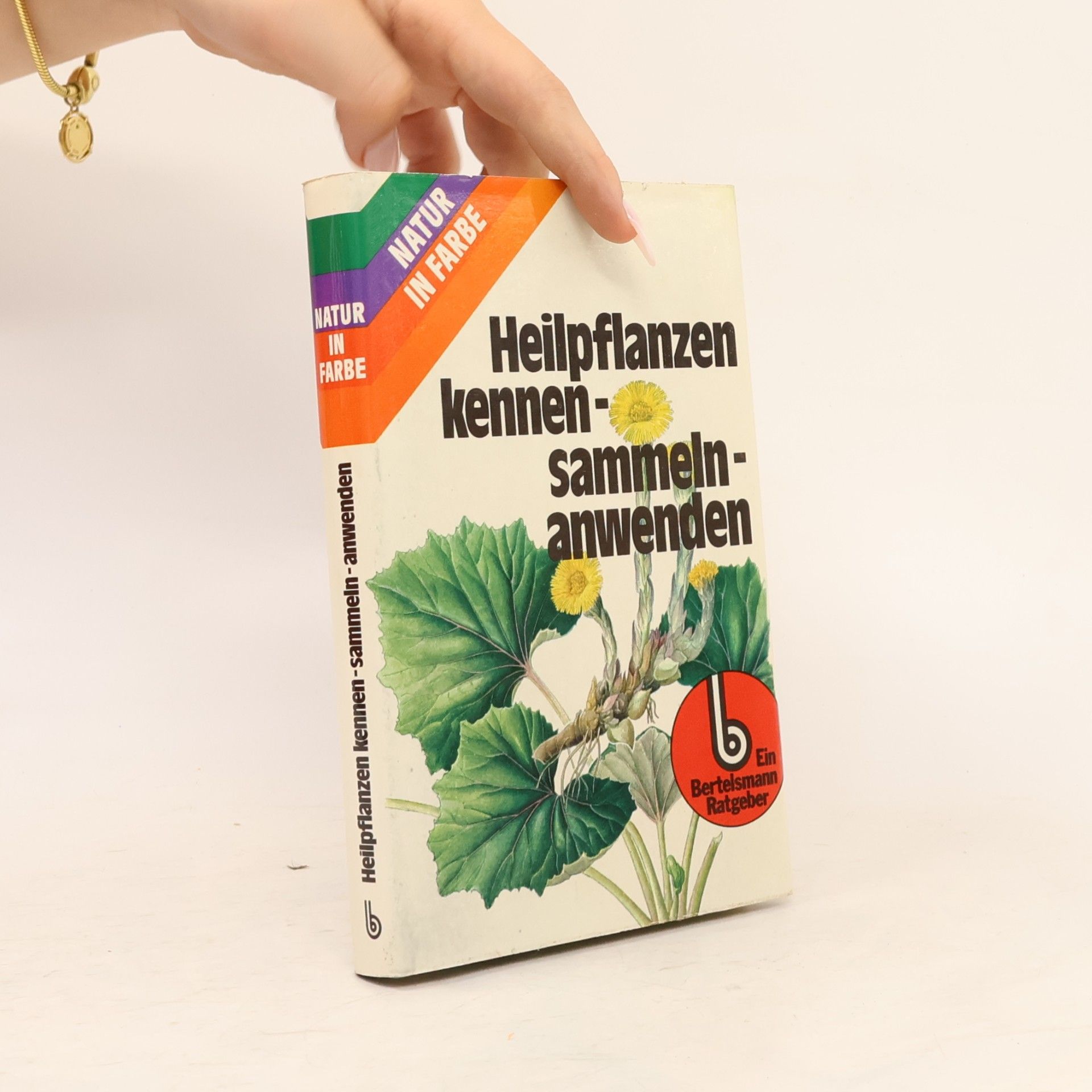Heilpflanzen kennen-sammeln-anwenden
