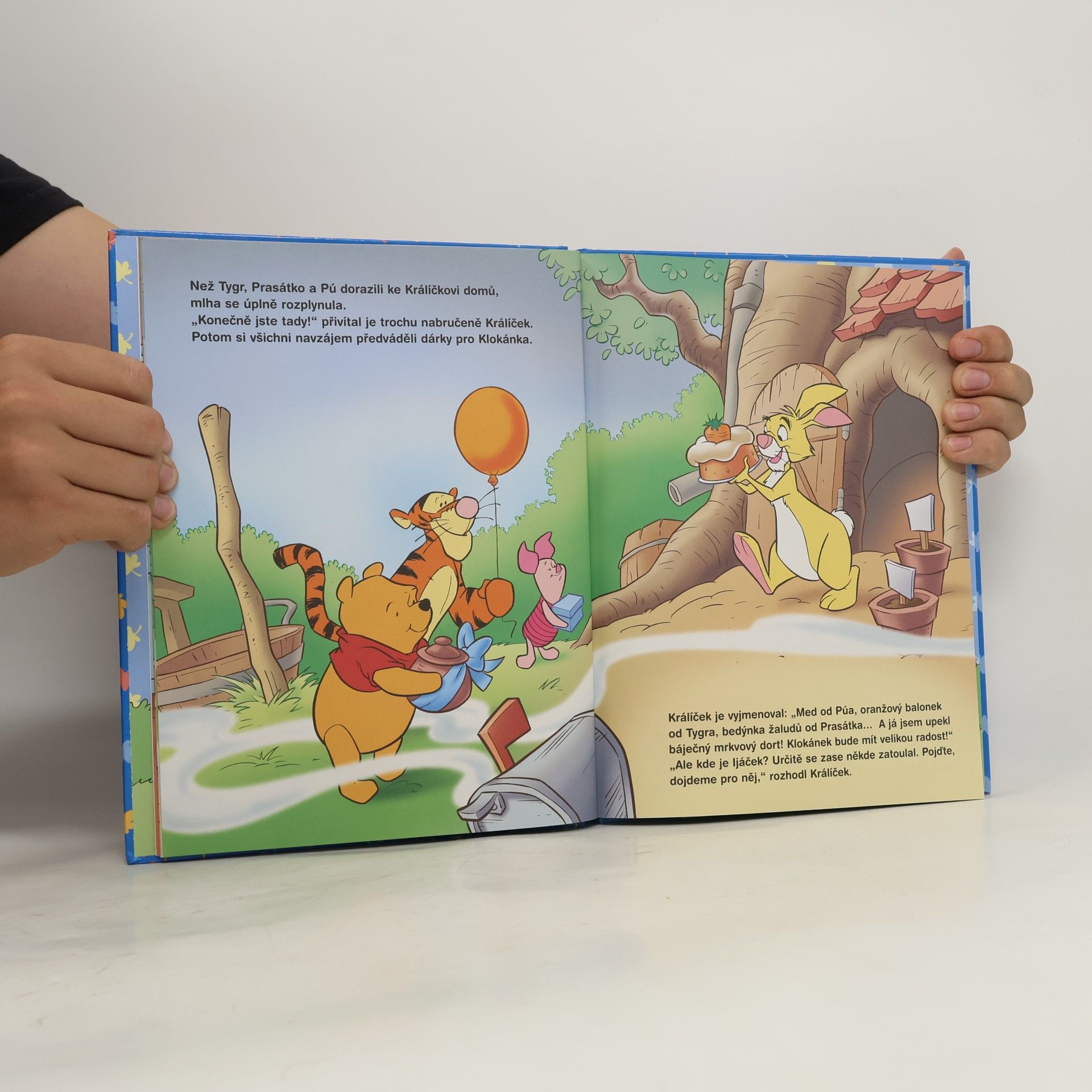 Walt Disney Medvídek Pú - Bouřlivé narozeniny