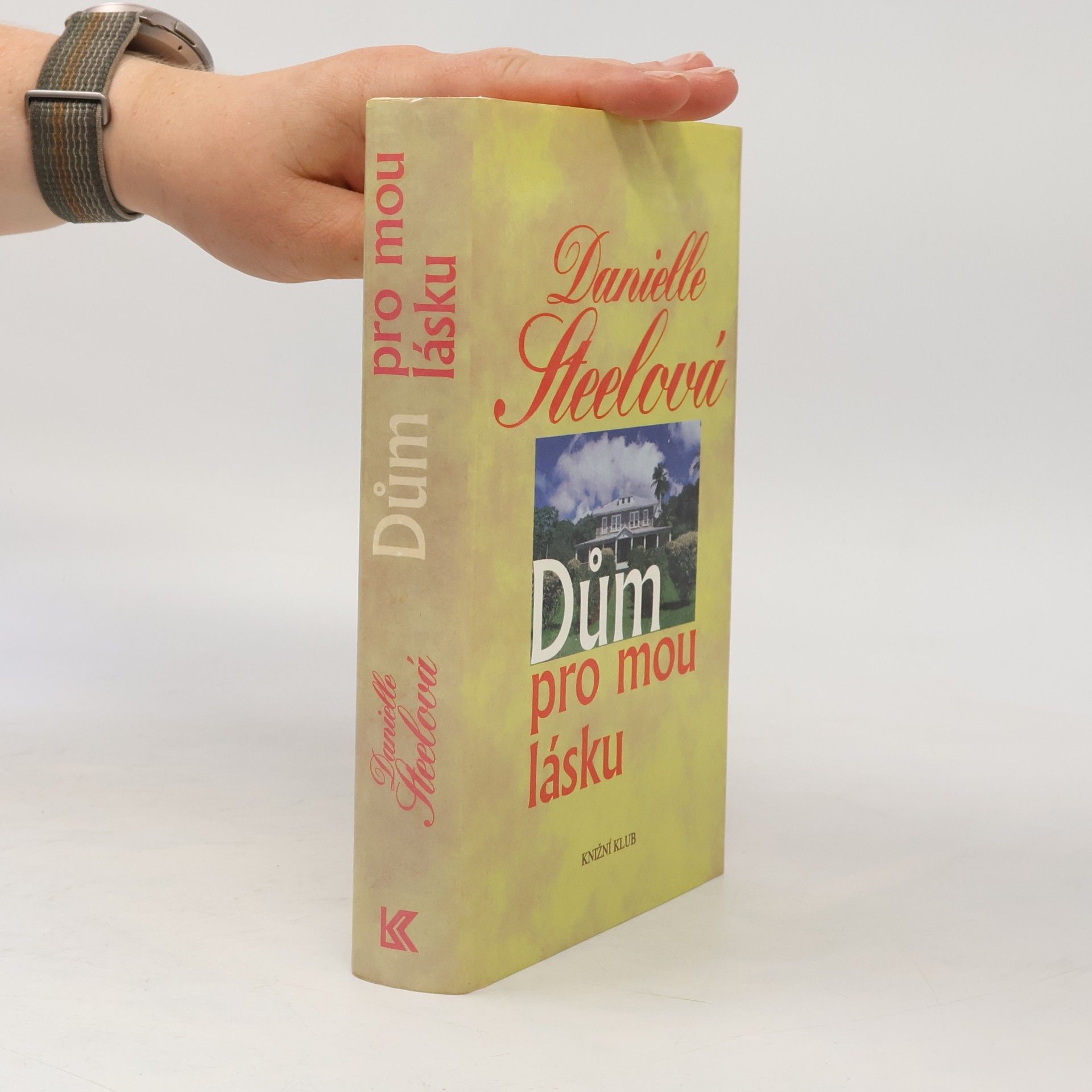 Danielle Steel Dům pro mou lásku