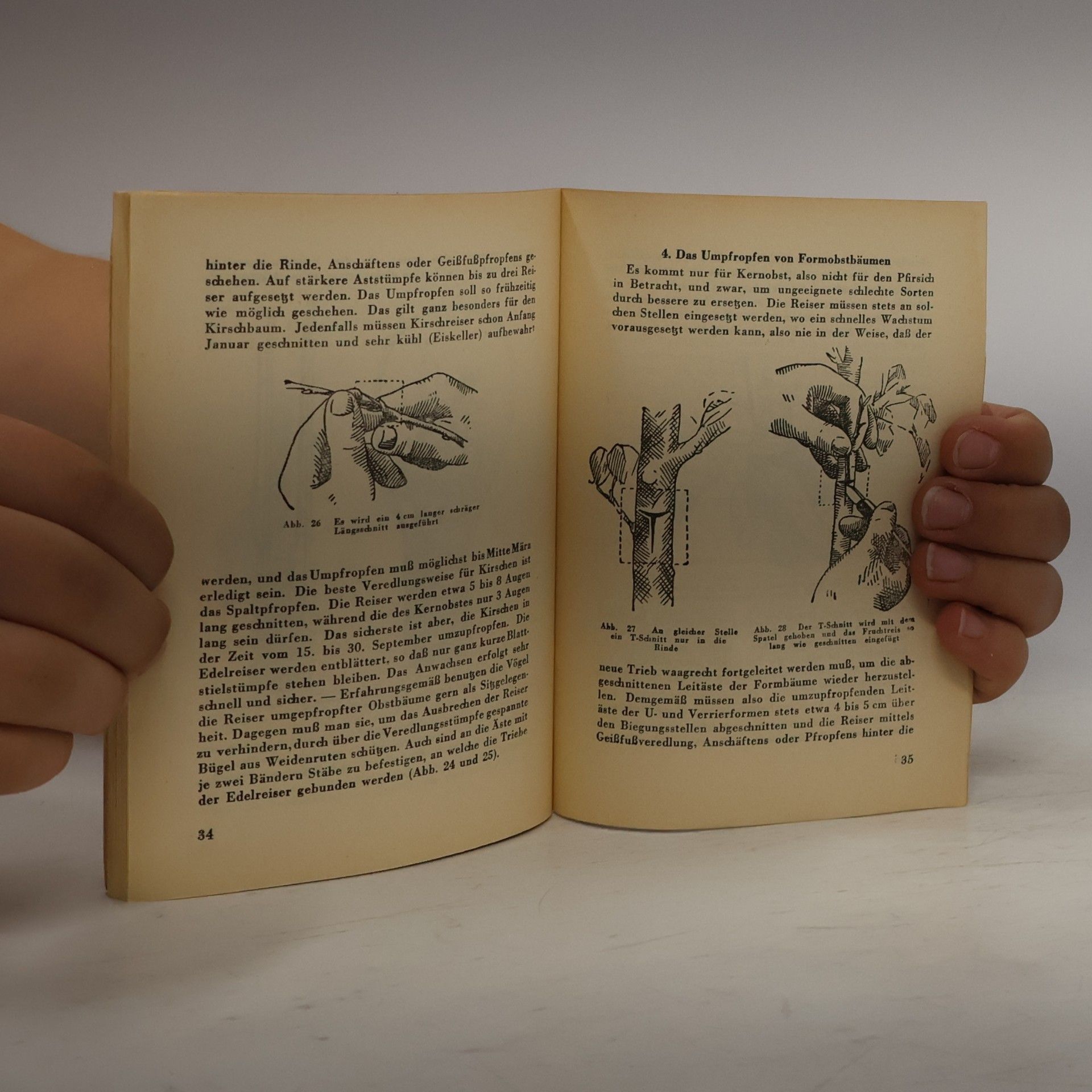 F. R. Thüring Die wichtigsten Veredlungsarten