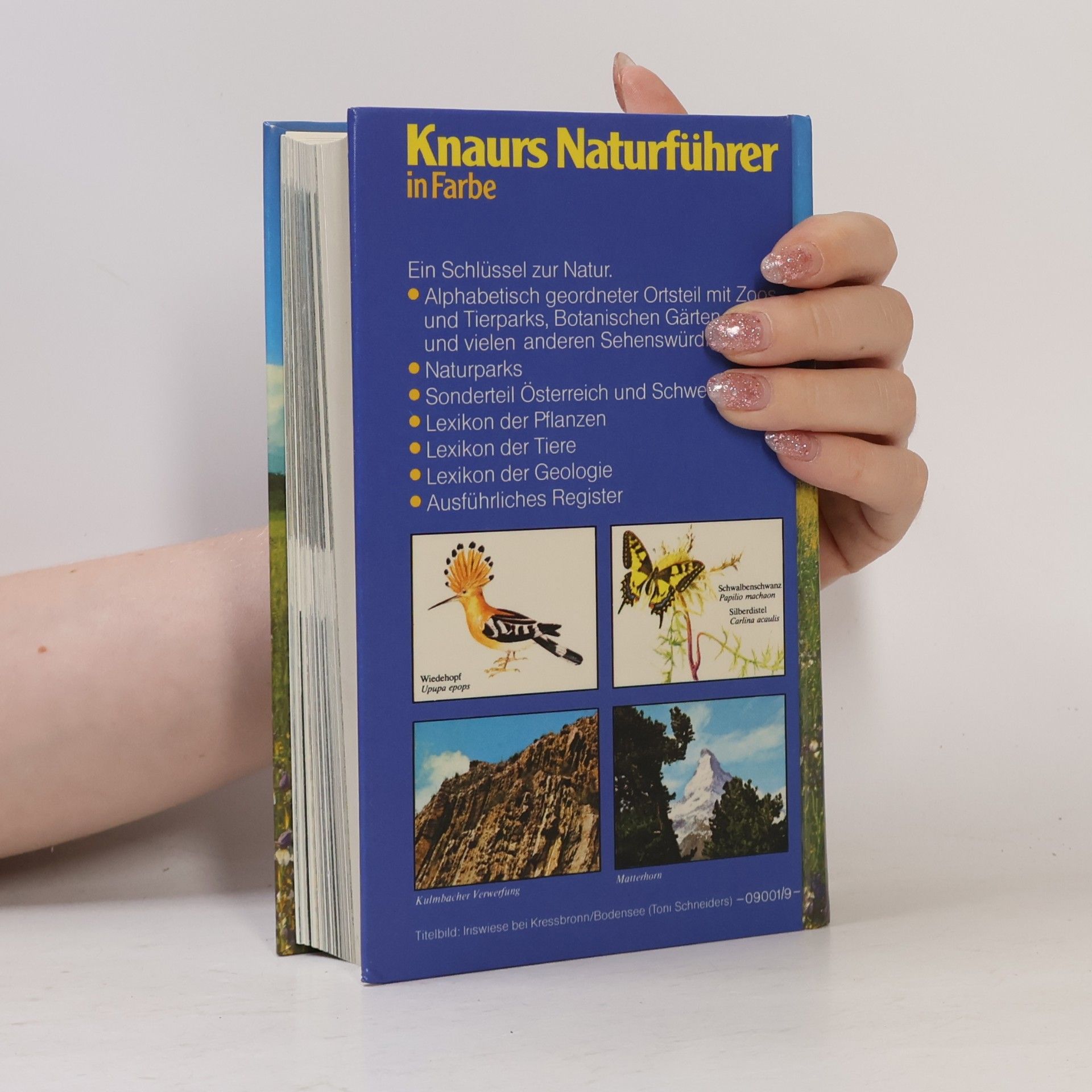 Autorenkollektiv Knaurs Naturführer in Farbe