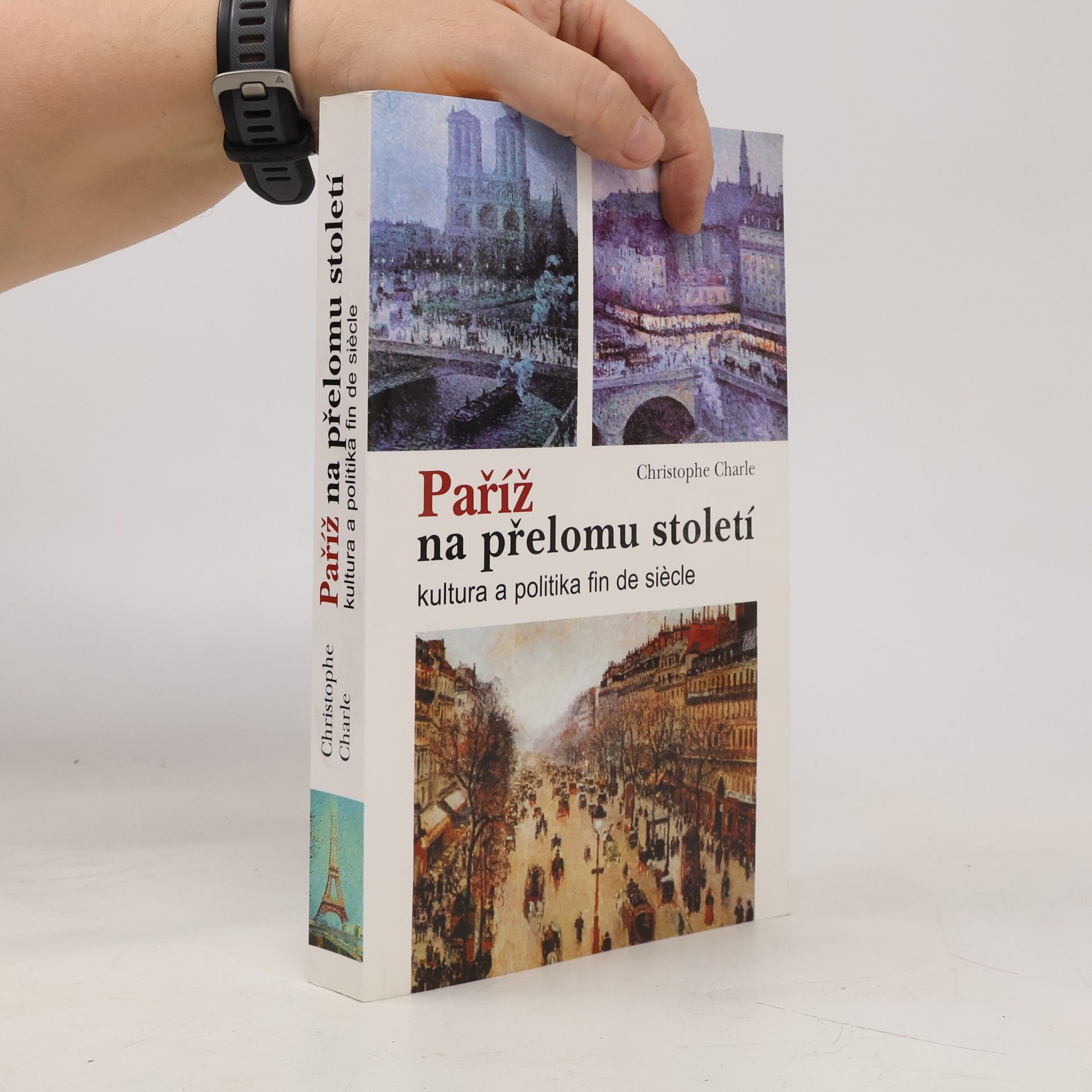 Paříž na přelomu století : kultura a politika fin de siècle
