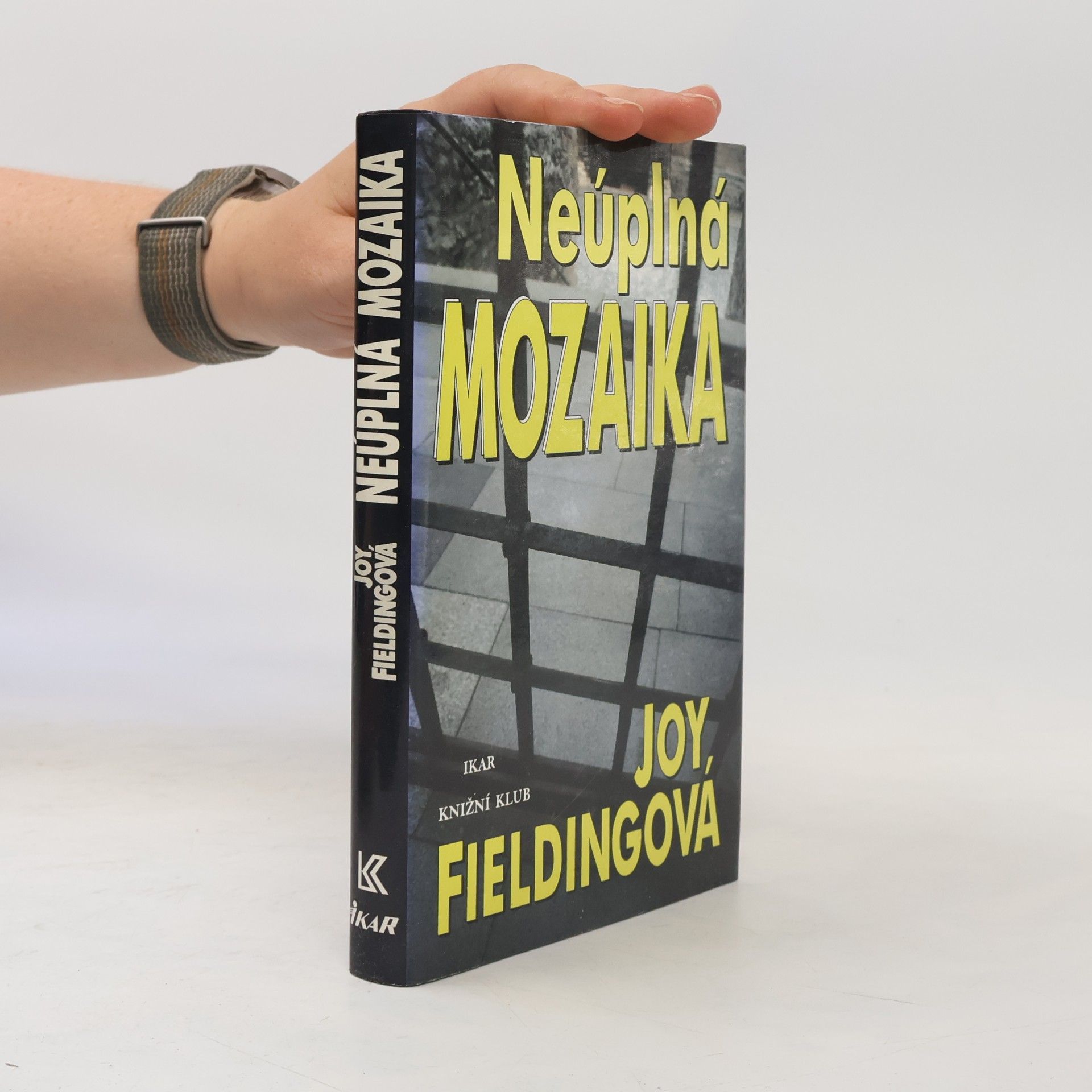 Joy Fielding Neúplná mozaika
