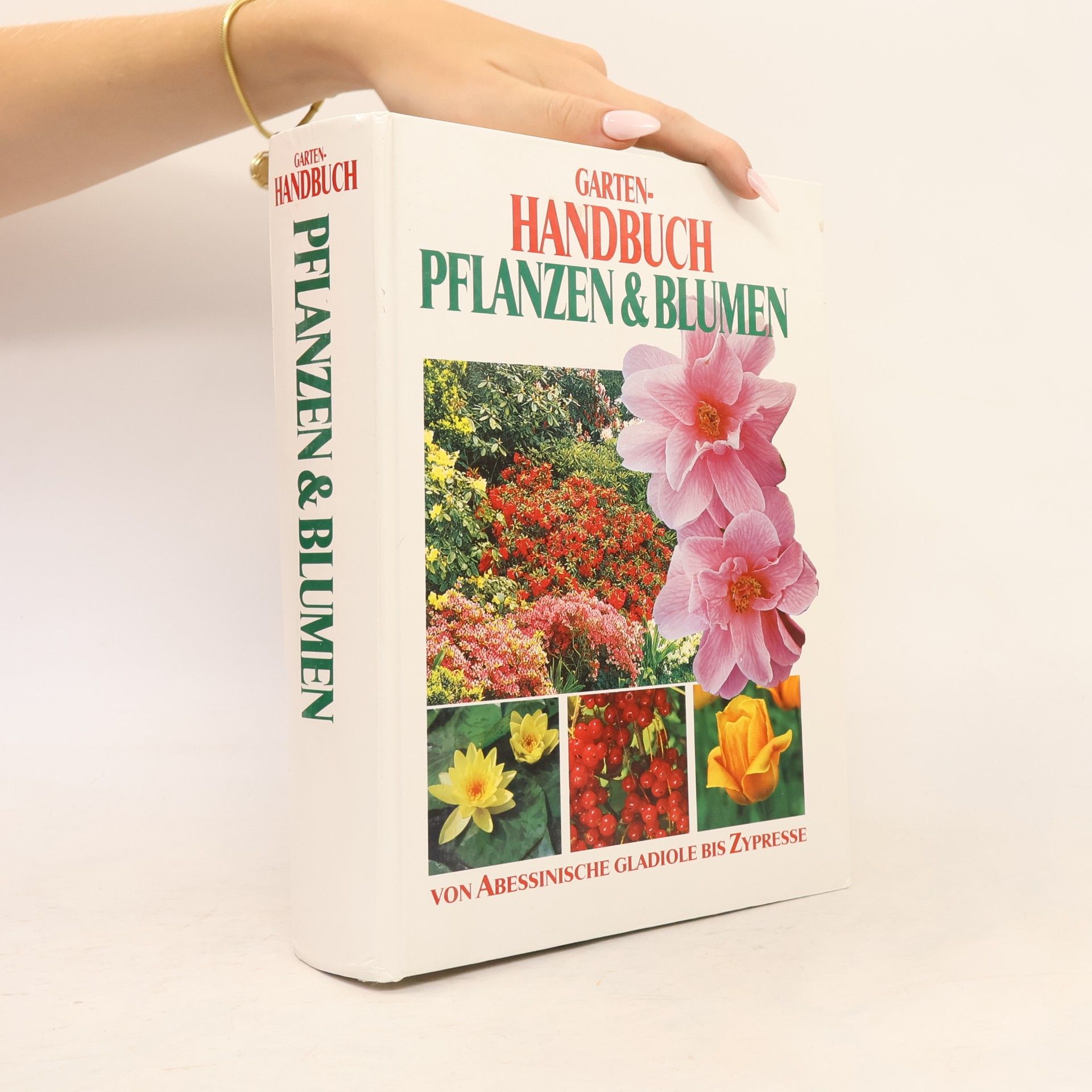 Autores varios Garten-Handbuch Pflanzen & Blumen