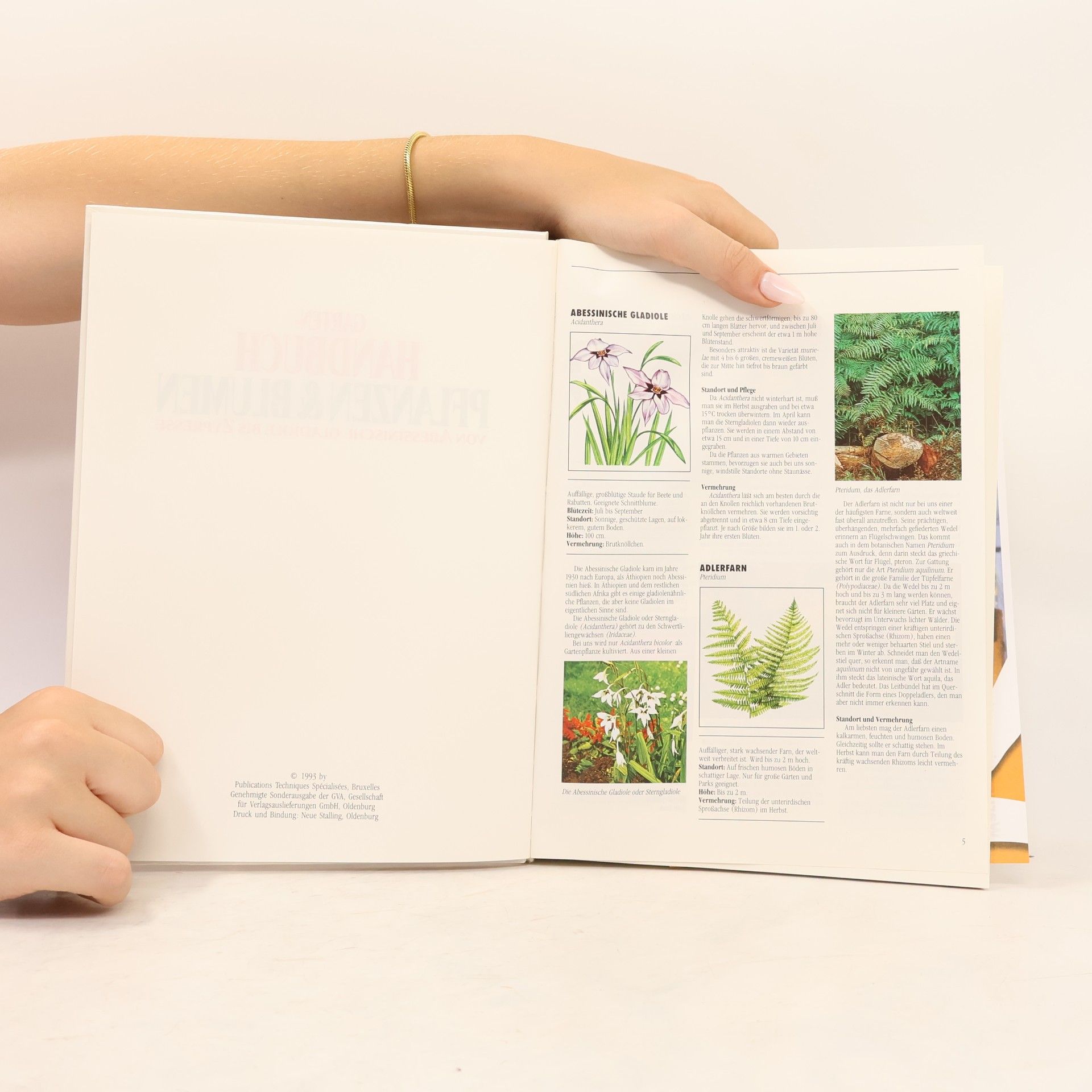 Autorenkollektiv Garten-Handbuch Pflanzen & Blumen