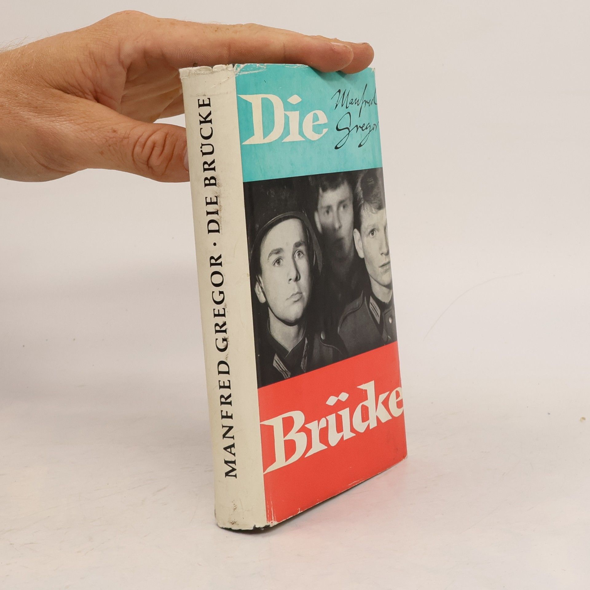 Manfred Gregor Die Brücke