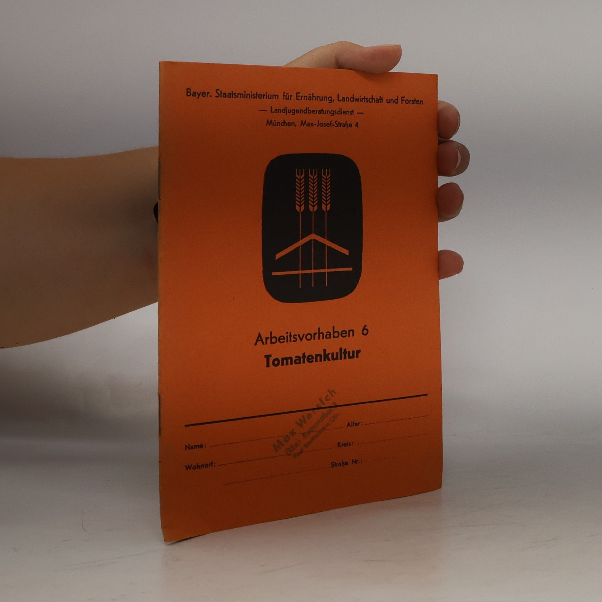 kolektiv Arbeitsvorhaben 6. Tomatenkultur