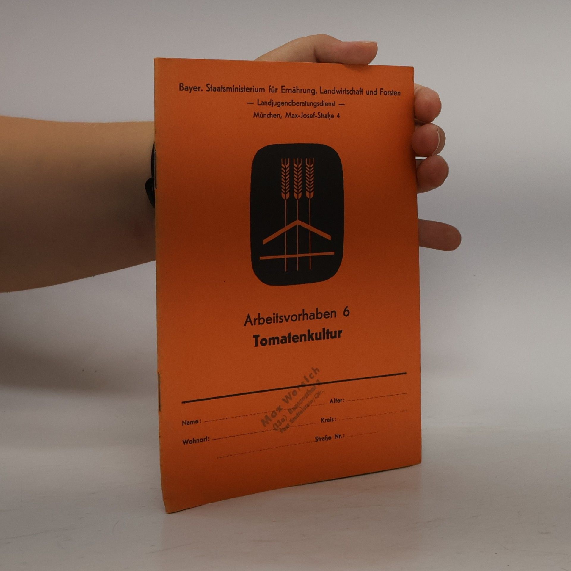 kolektiv Arbeitsvorhaben 6. Tomatenkultur