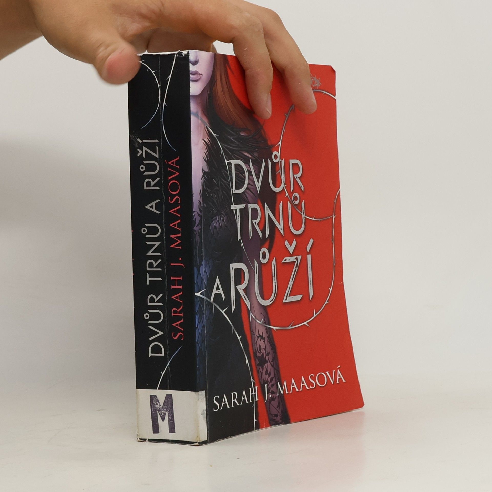 Sarah J. Maas Dvůr trnů a růží