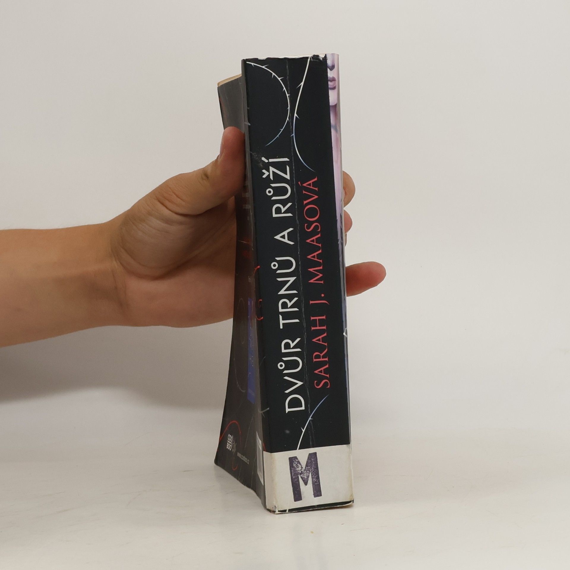 Sarah J. Maas Dvůr trnů a růží