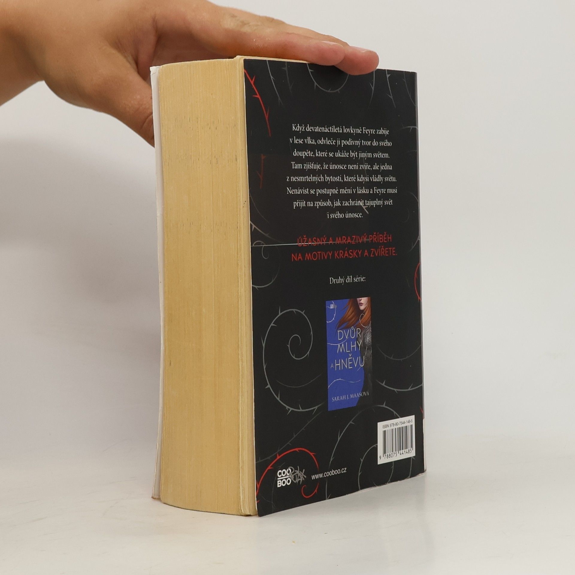 Sarah J. Maas Dvůr trnů a růží