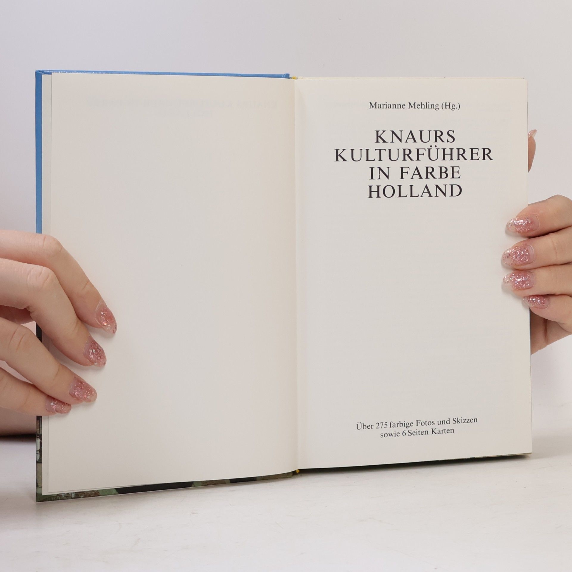 Marianne Mehling Knaurs Kulturführer in Farbe Holland