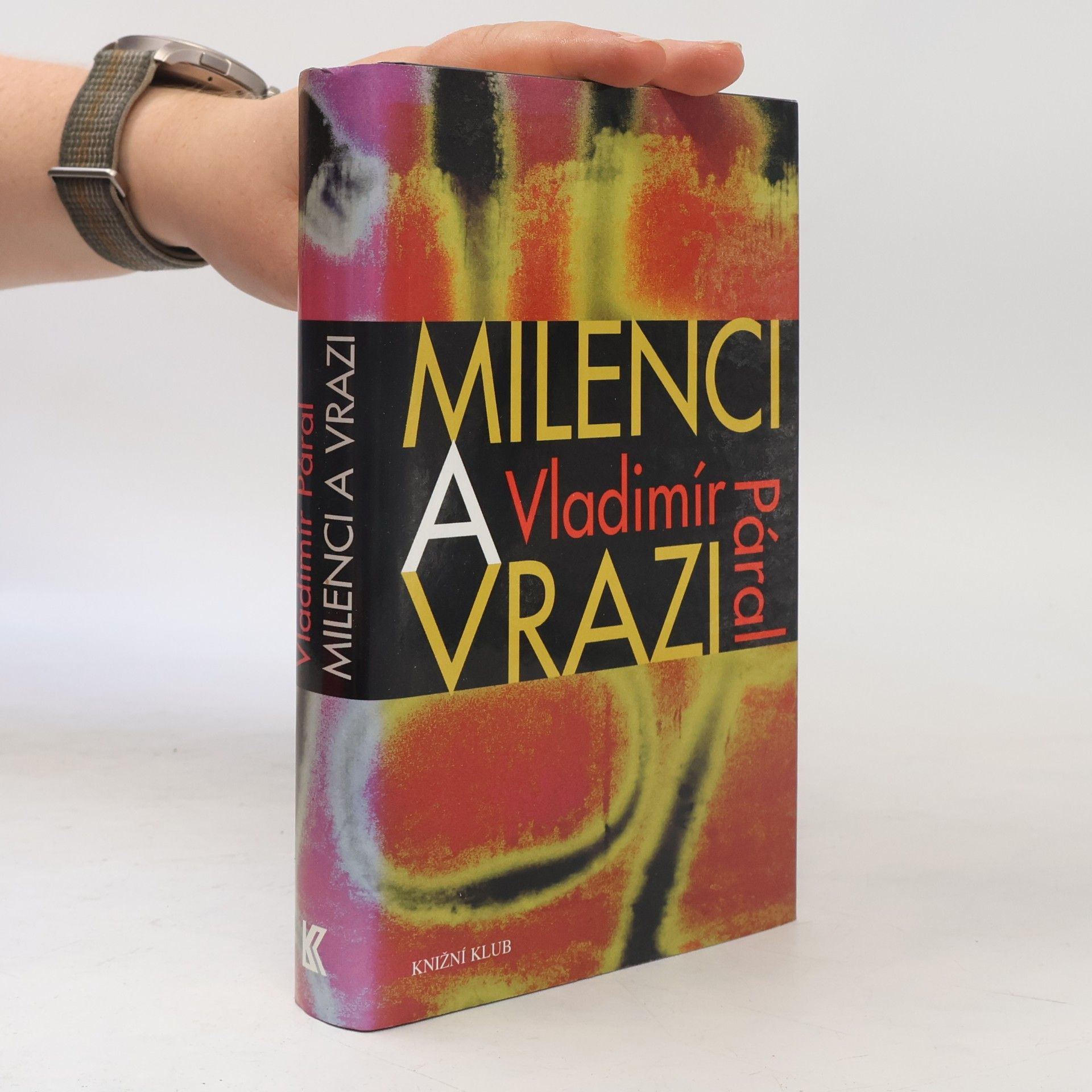 Vladimír Páral Milenci a vrazi. Magazín ukájení kolem roku 2000