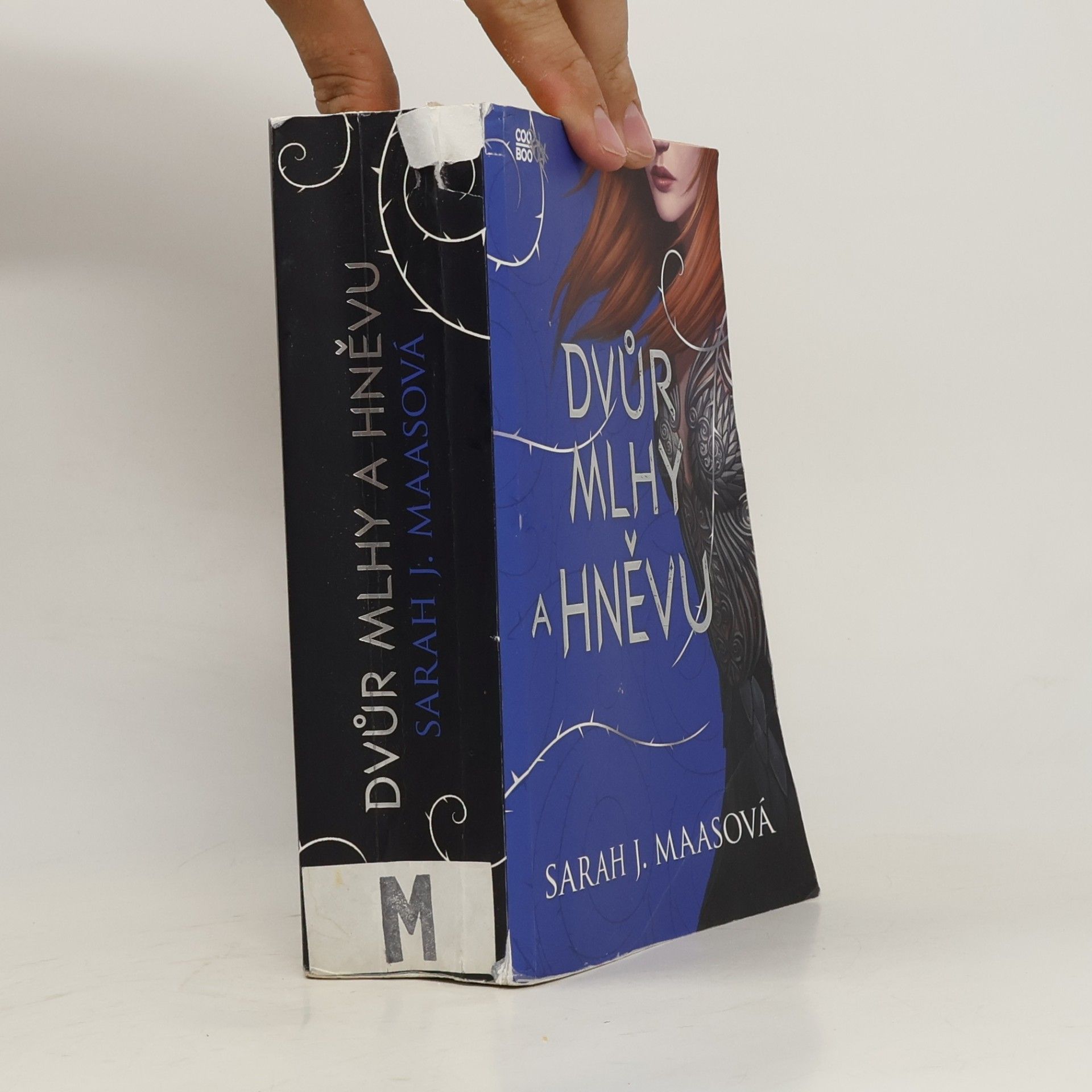 Sarah J. Maasová Dvůr mlhy a hněvu