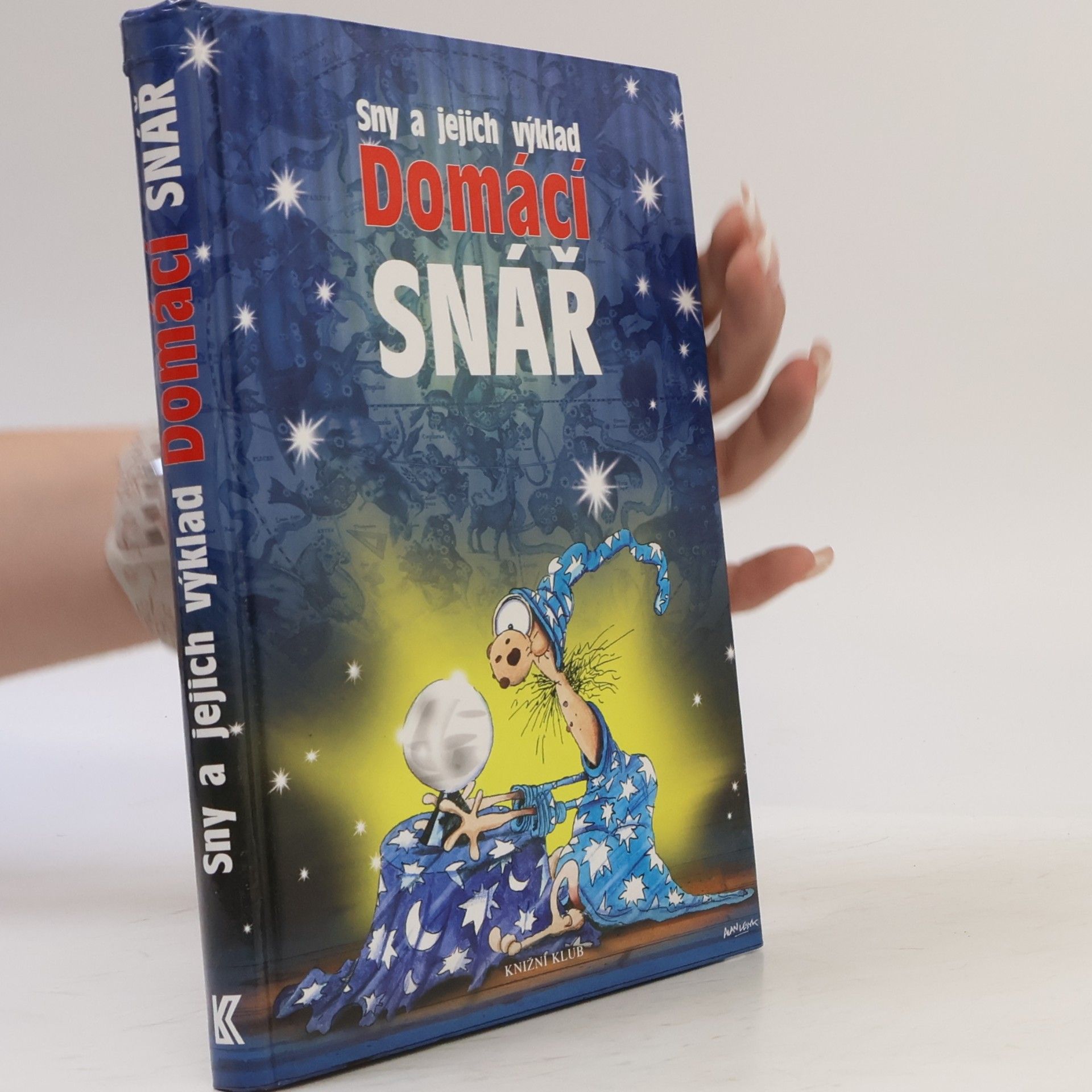 Alan Lesyk Domácí snář : sny a jejich výklad