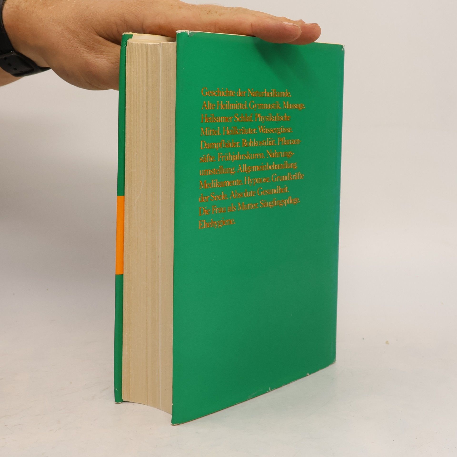 Alfred Brauchle Das grosse Buch der Naturheilkunde