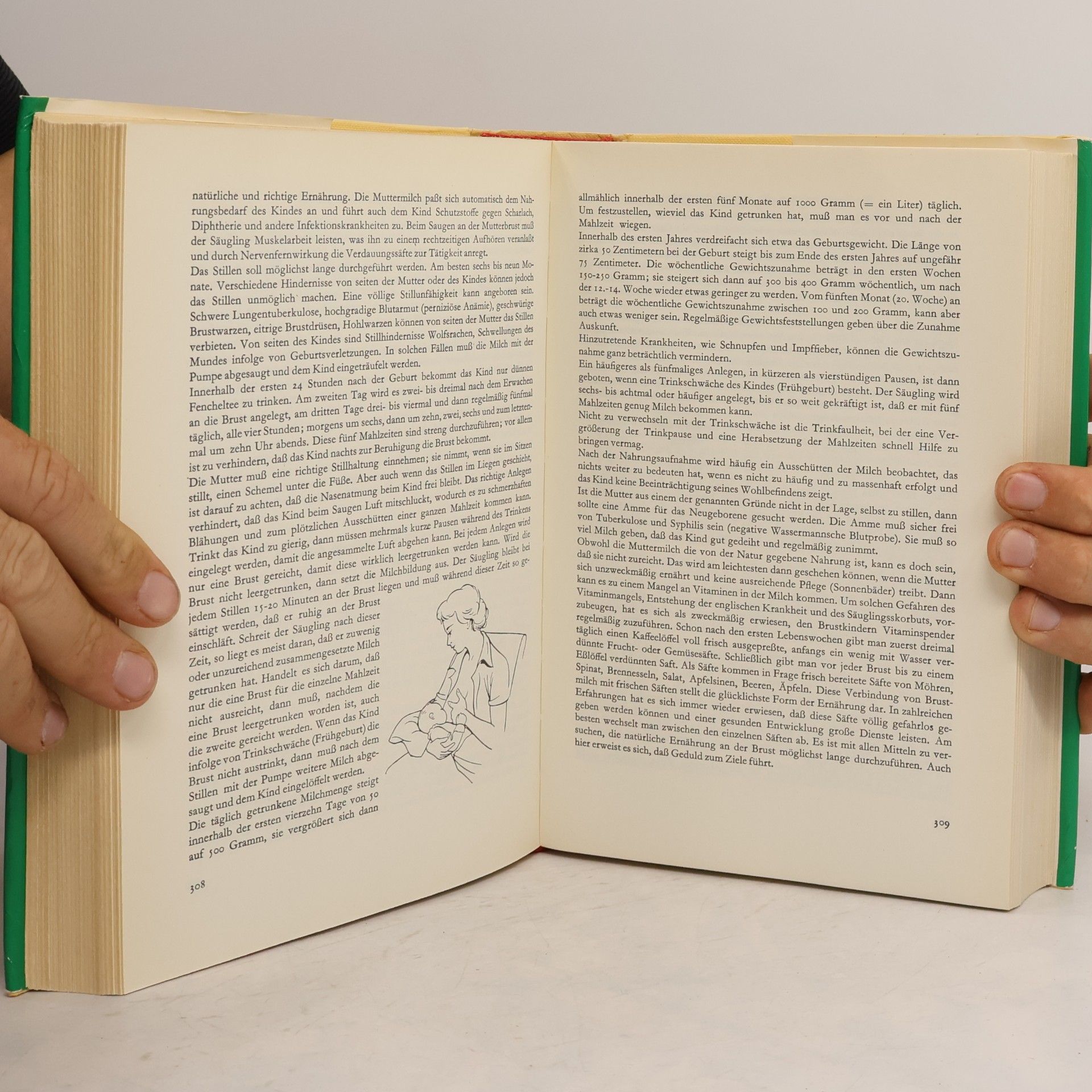 Alfred Brauchle Das grosse Buch der Naturheilkunde