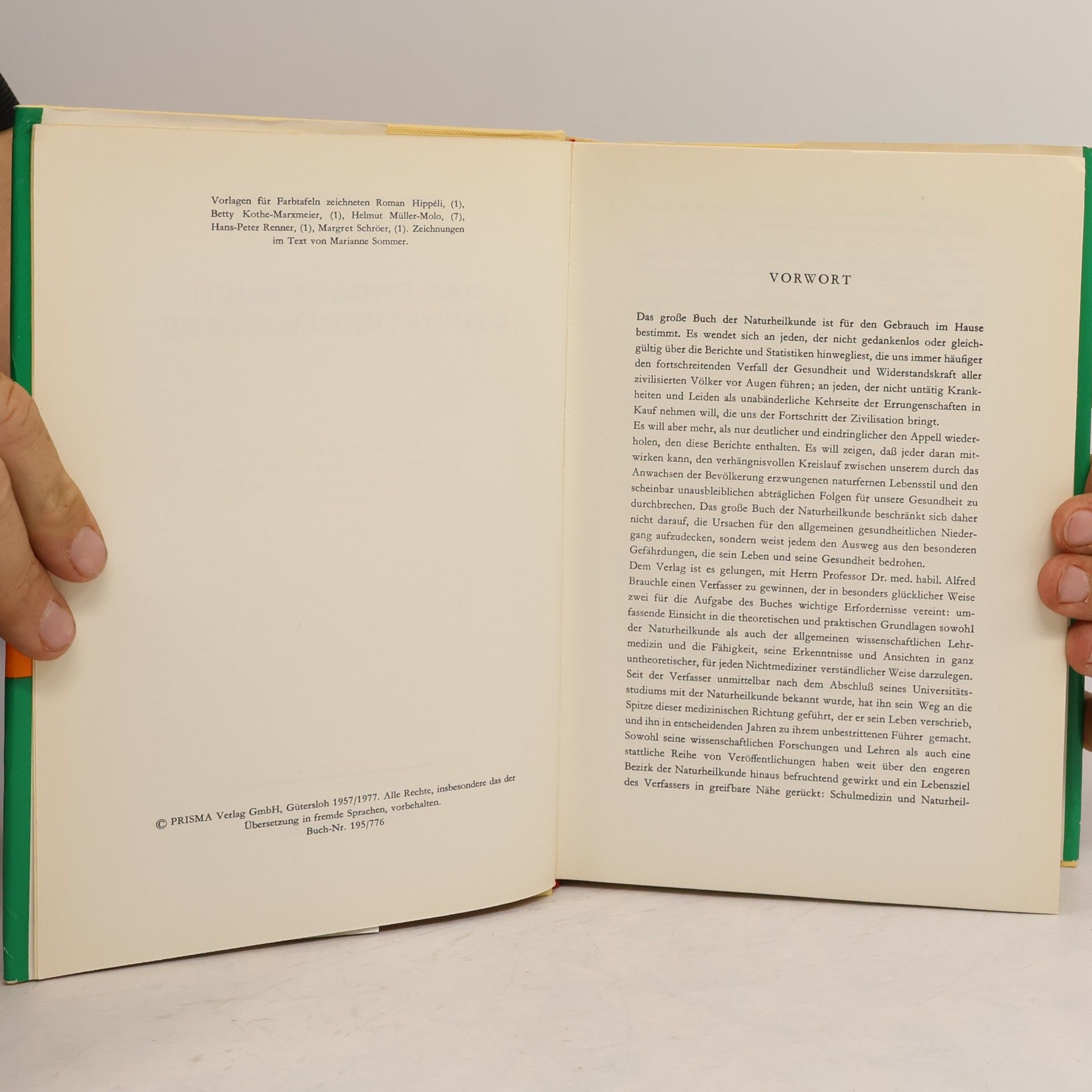 Alfred Brauchle Das grosse Buch der Naturheilkunde