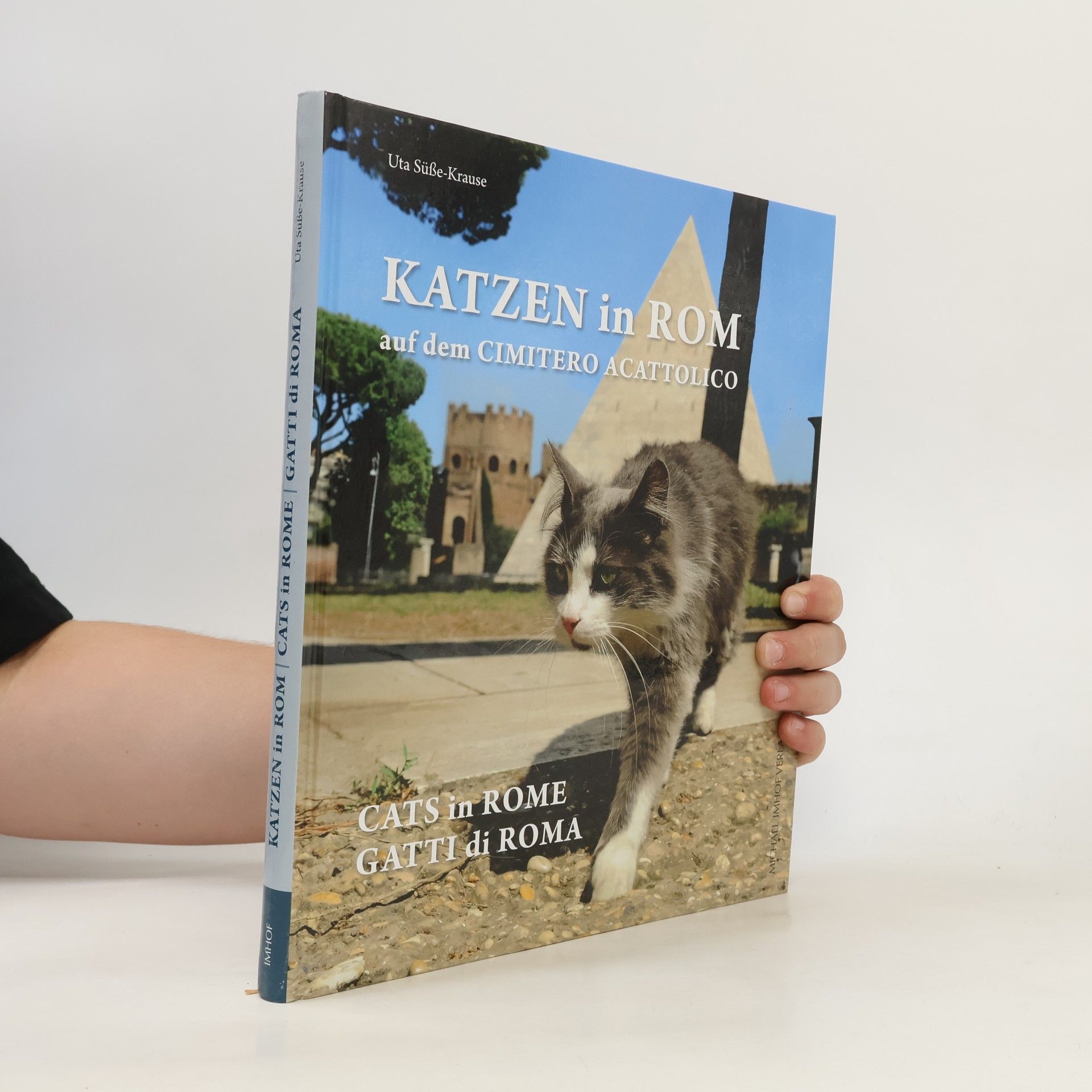 Uta Süße-Krause Katzen in Rom auf dem Cimitero Acattolico