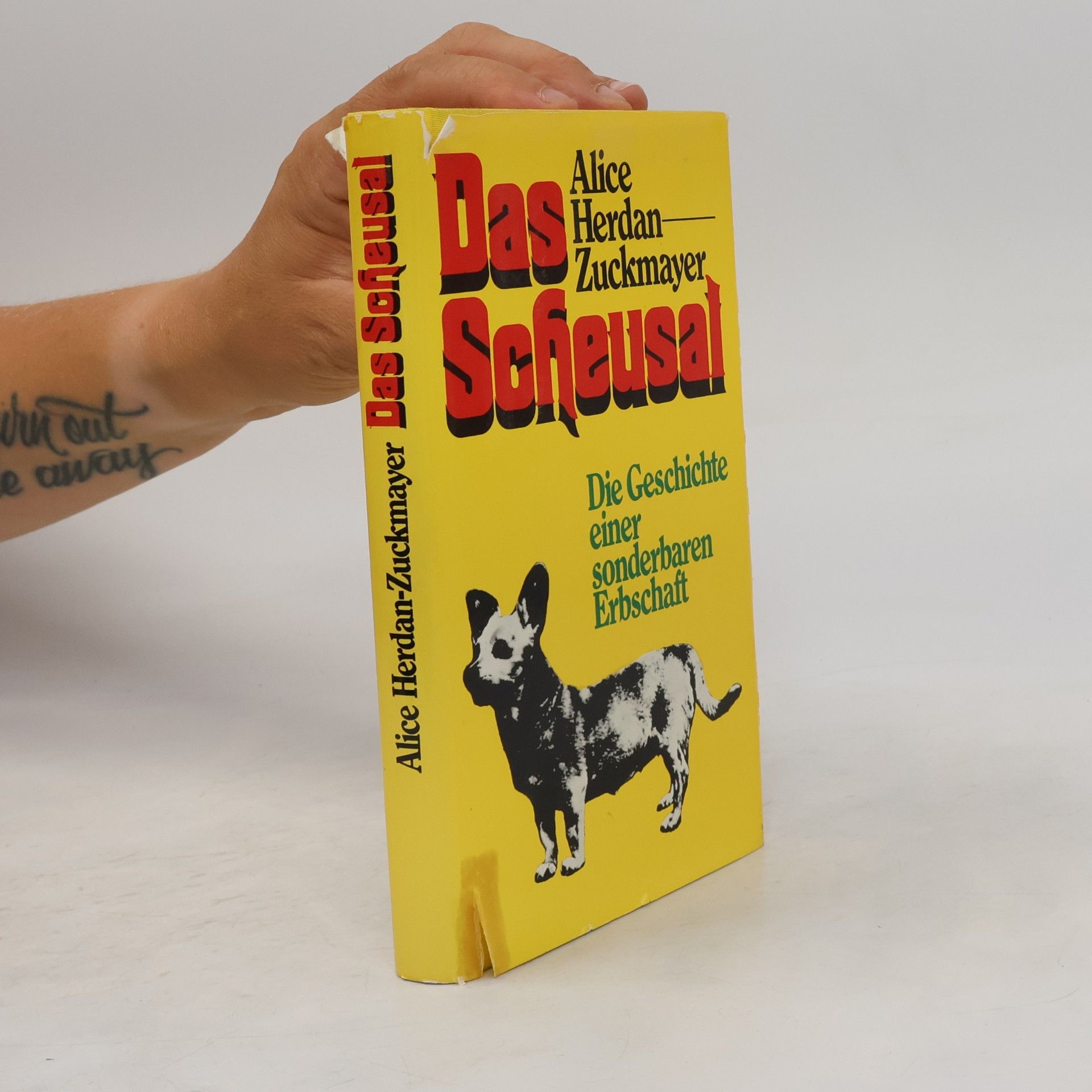 Alice Herdan-Zuckmayer Das Scheusal