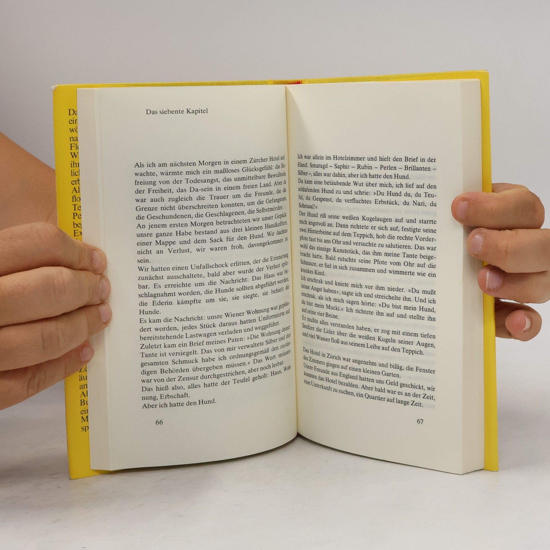 Alice Herdan-Zuckmayer Das Scheusal