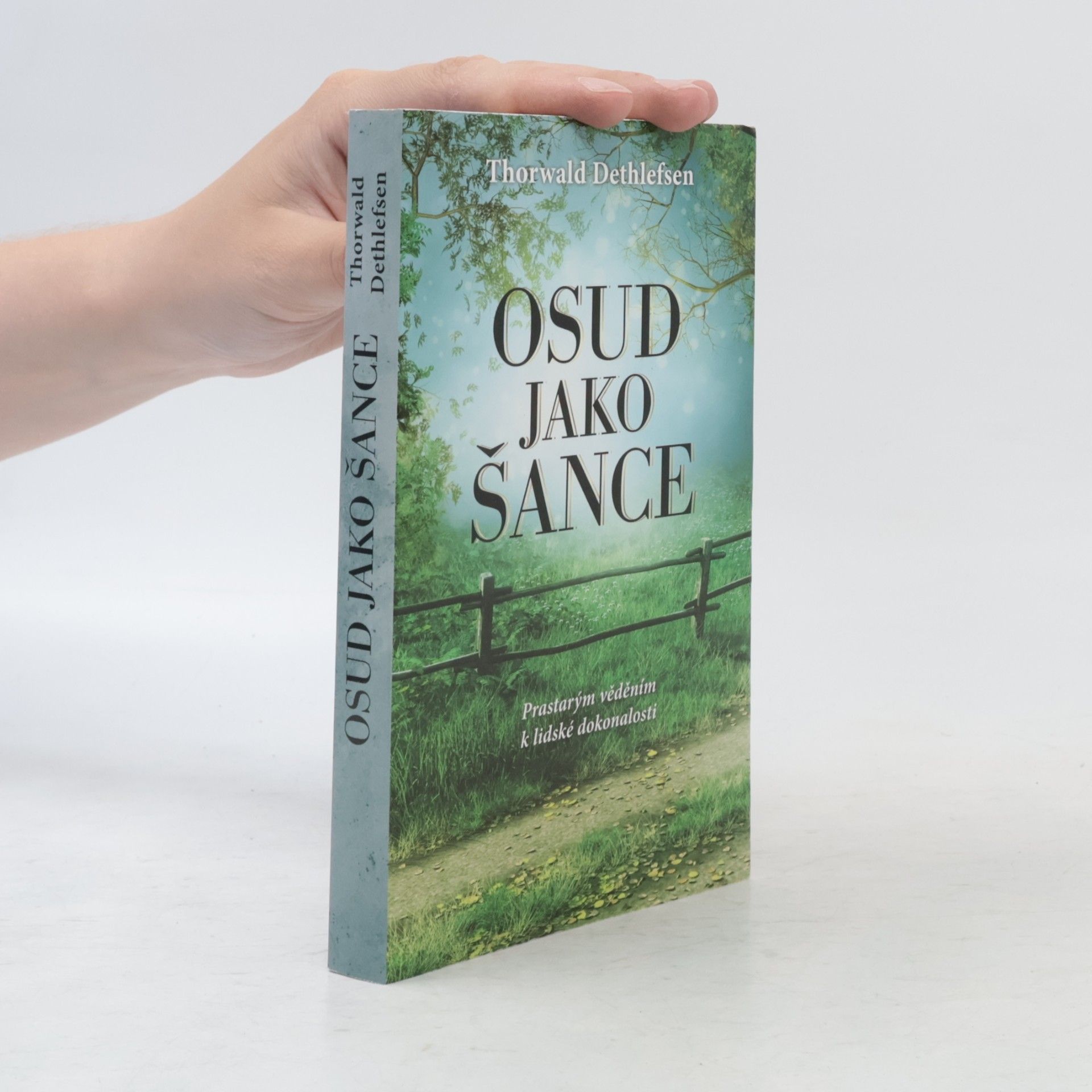 Thorwald Dethlefsen Osud jako šance