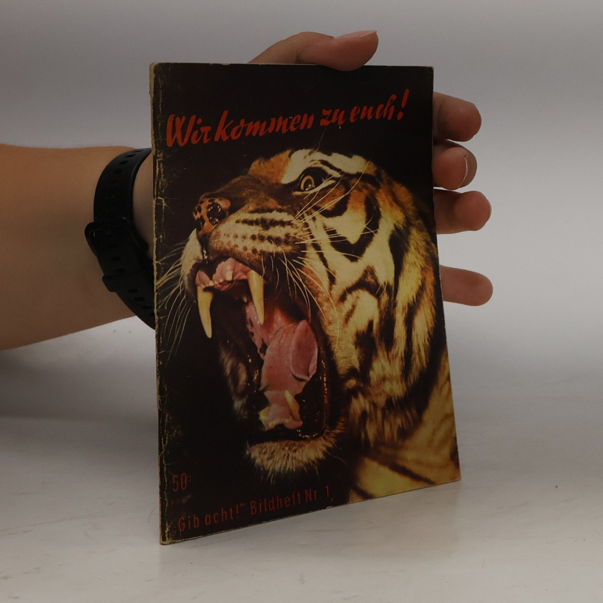kolektiv Wir kommen zu euch!