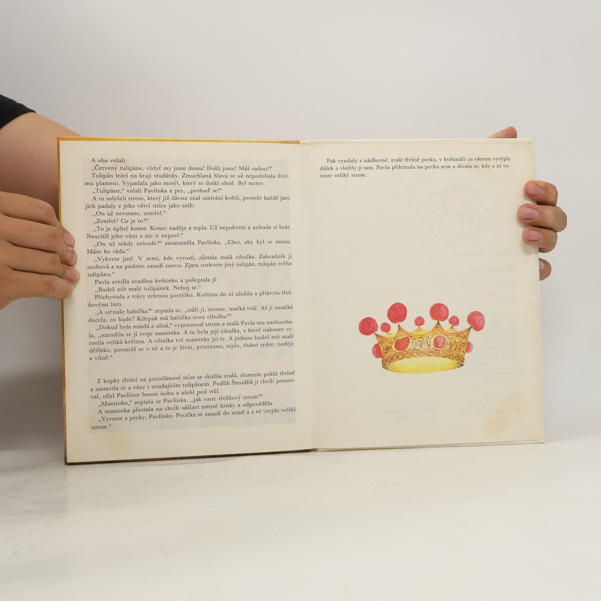 Markéta Zinnerová Princezna z třešňového království