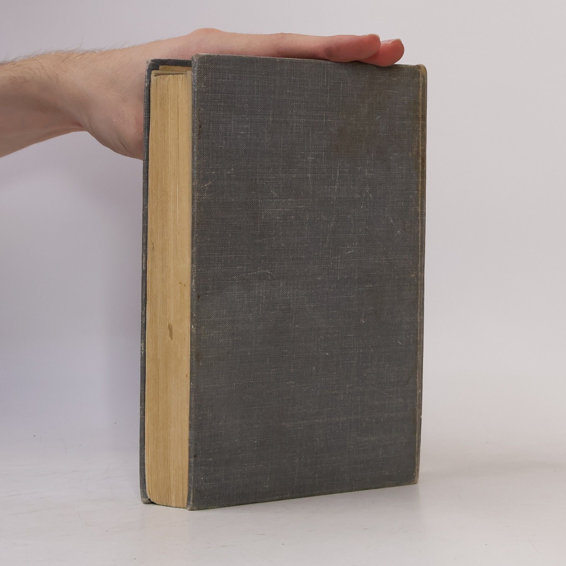 Erich Maria Remarque Vítězný oblouk