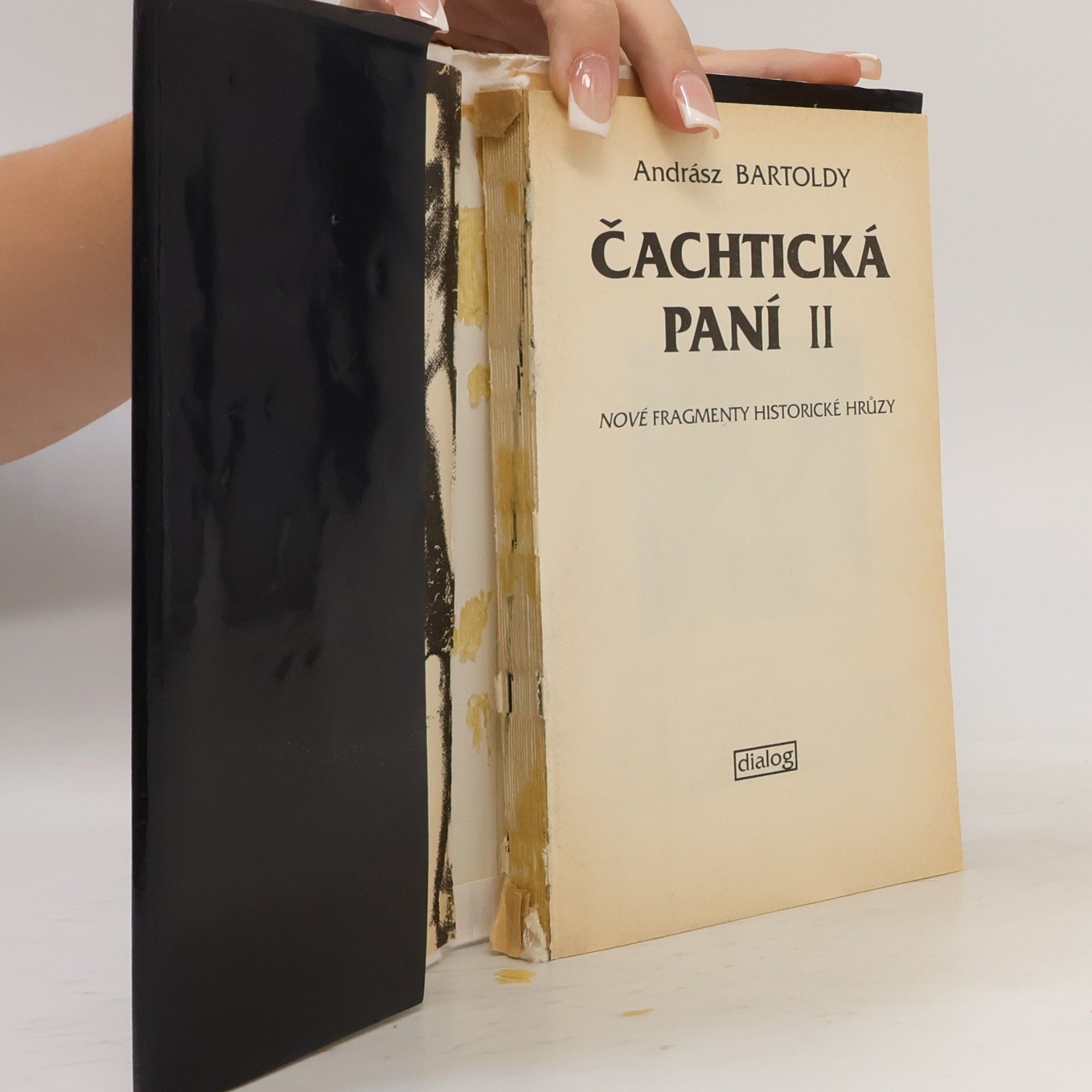 Andrej Štiavnický Čachtická paní ve vězení a na svobodě. 2. díl