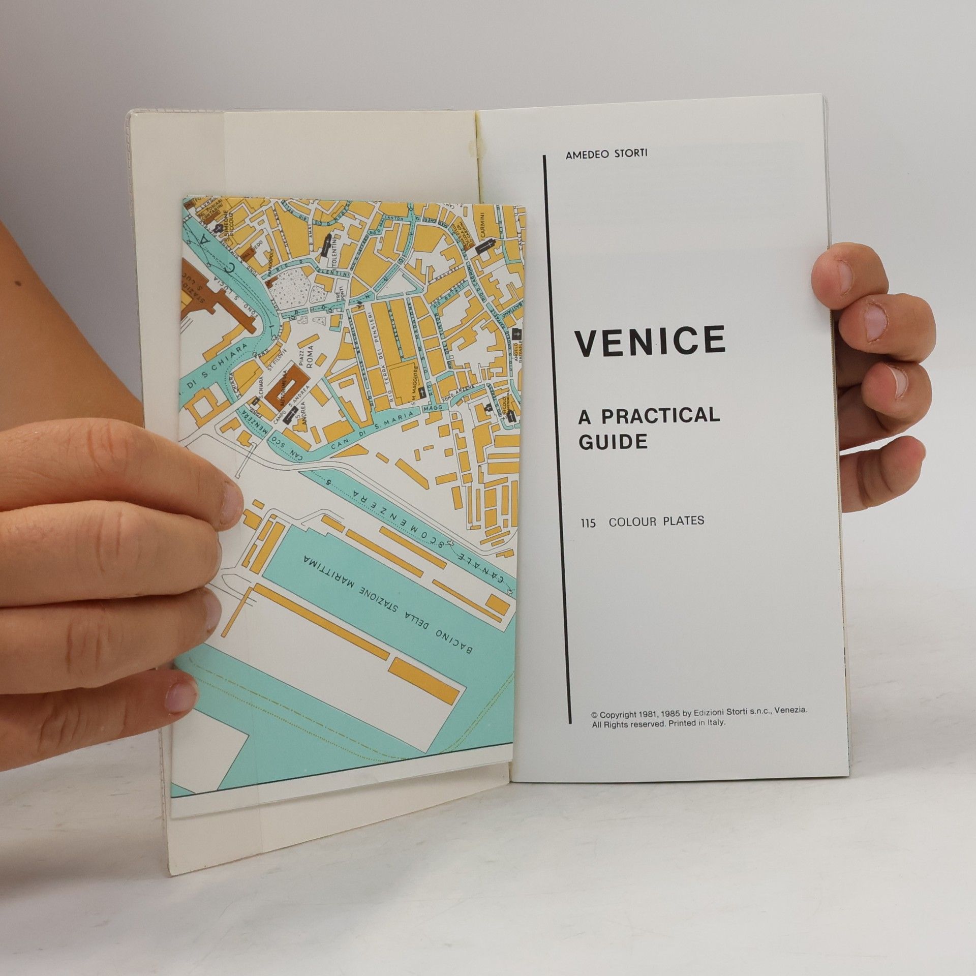 Amedeo Storti You in Venice - English Edition