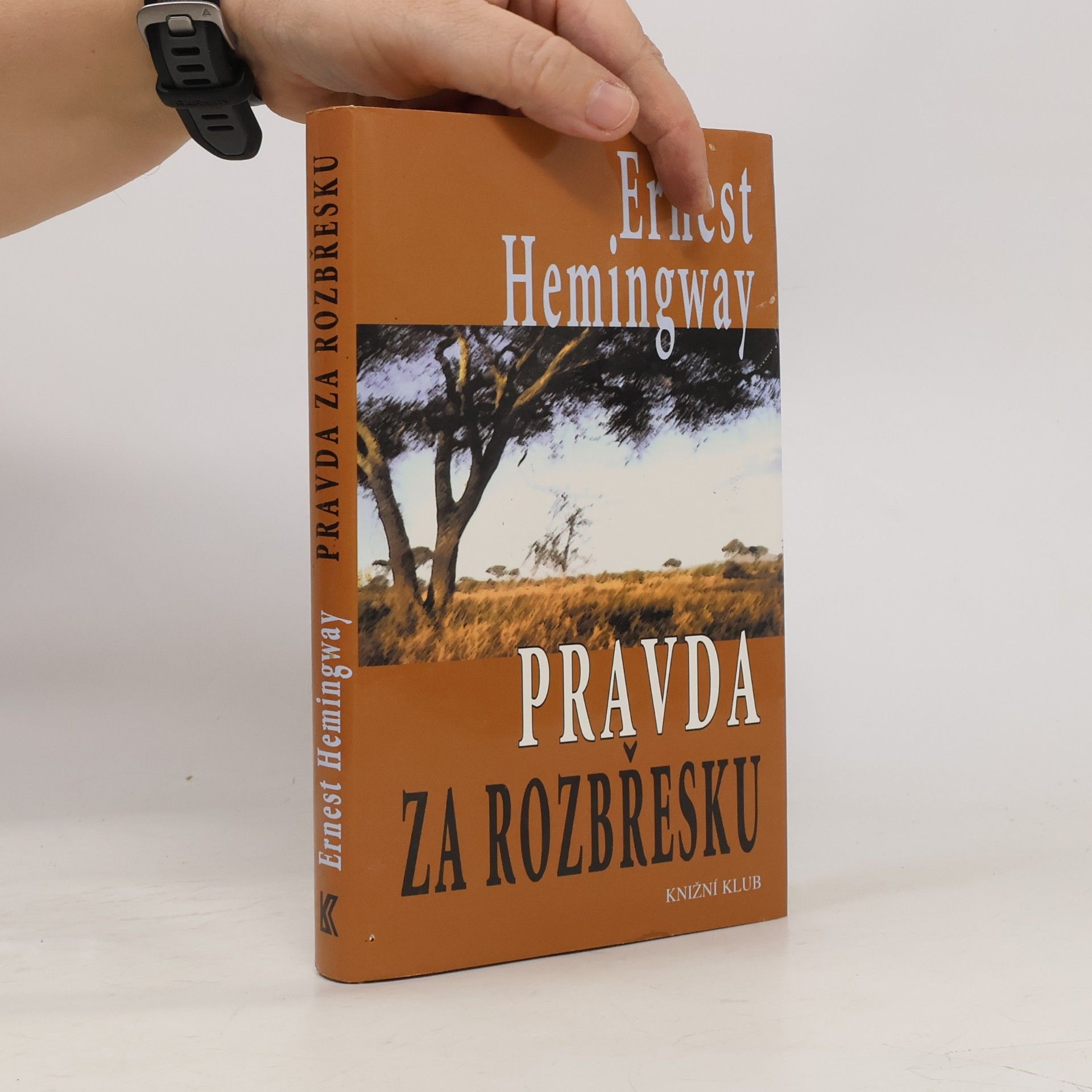 Ernest Hemingway Pravda za rozbřesku