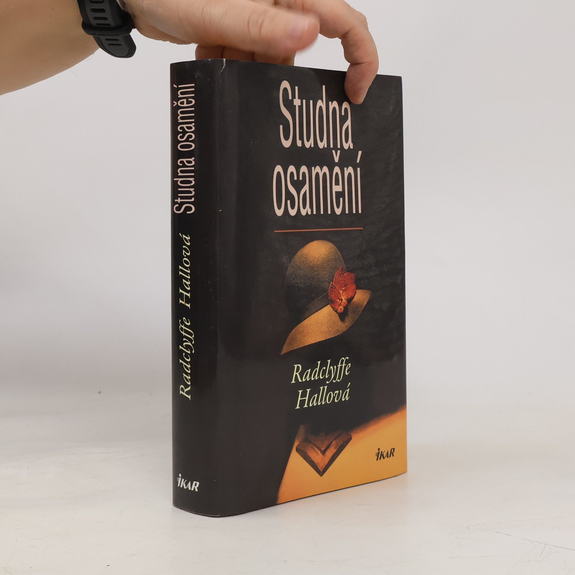 Radclyffe Hall Studna osamění