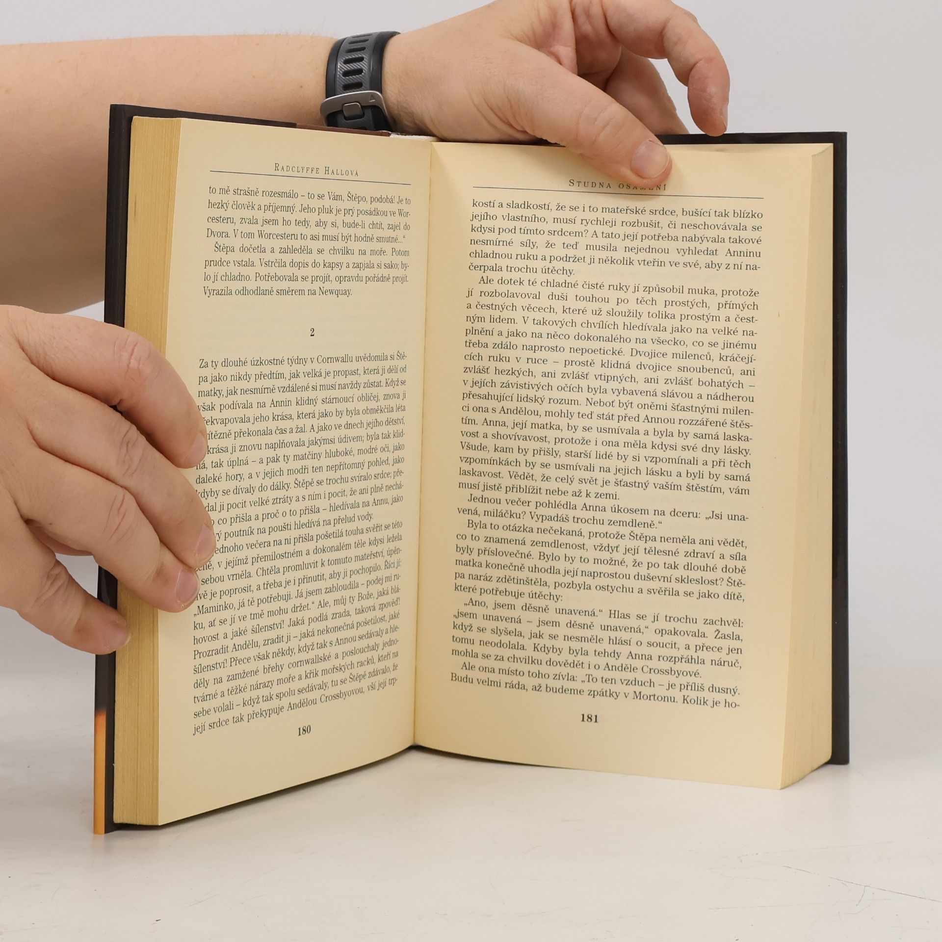 Radclyffe Hall Studna osamění