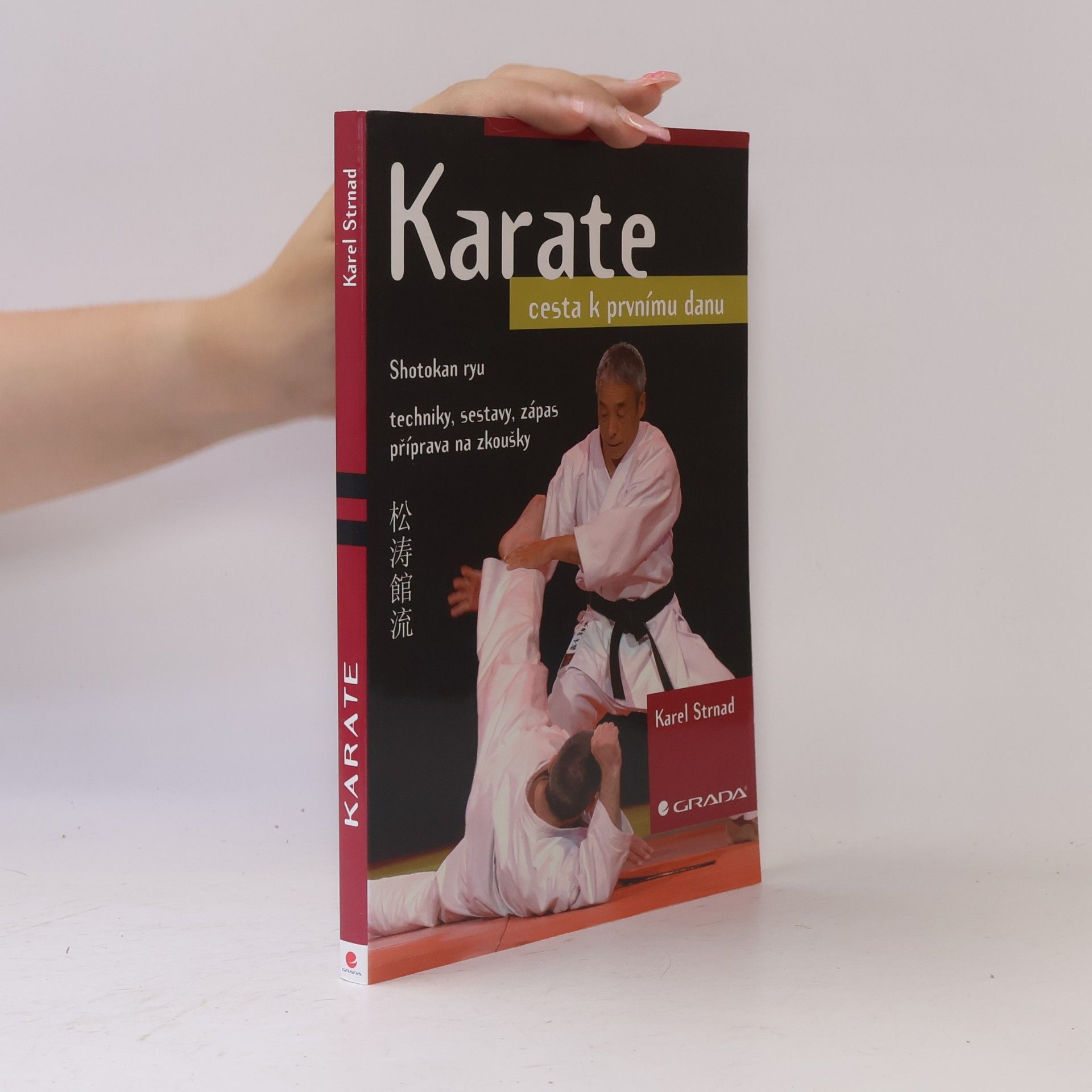 Karel Strnad Karate. Cesta k prvnímu danu
