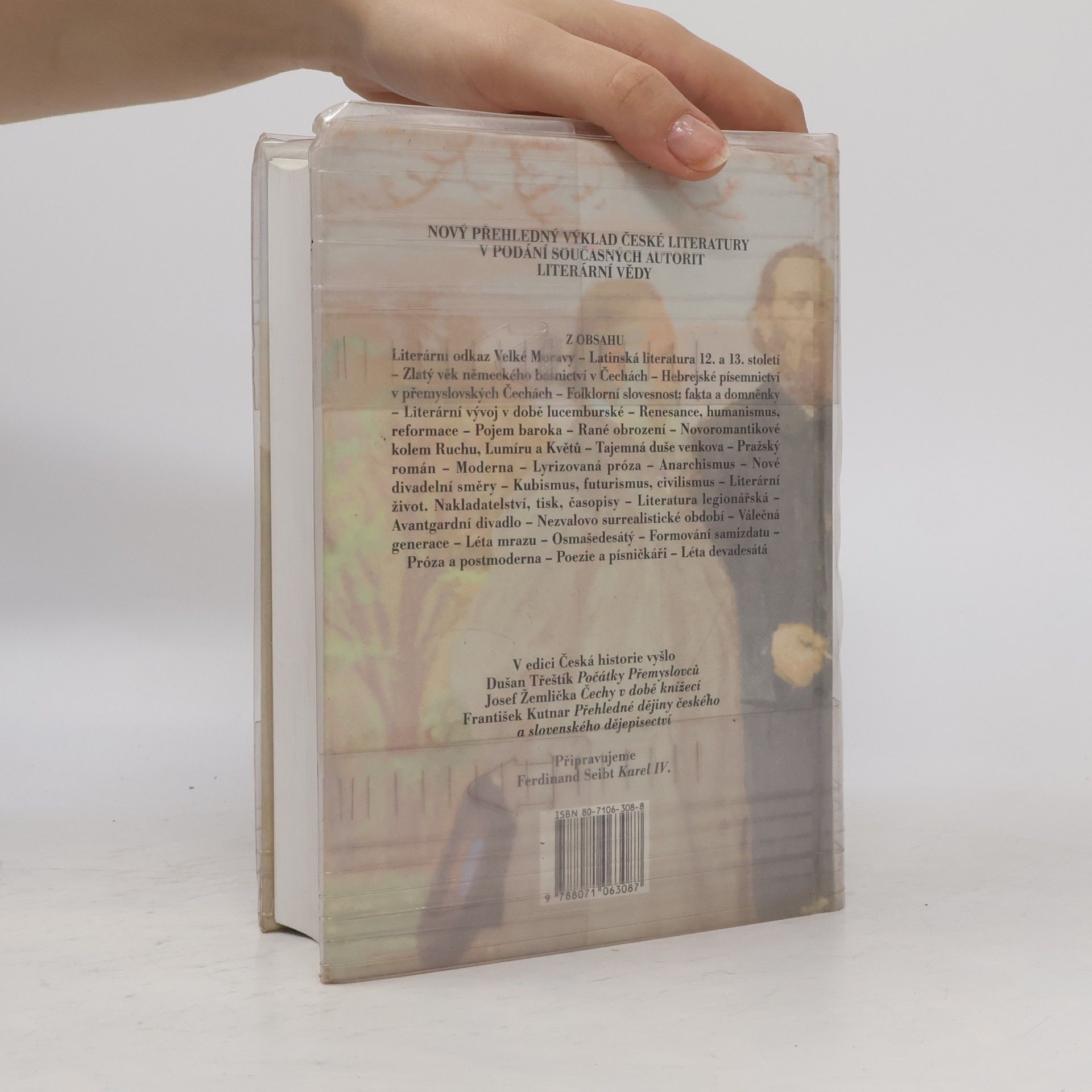 Jiří Holý Česká literatura od počátků k dnešku