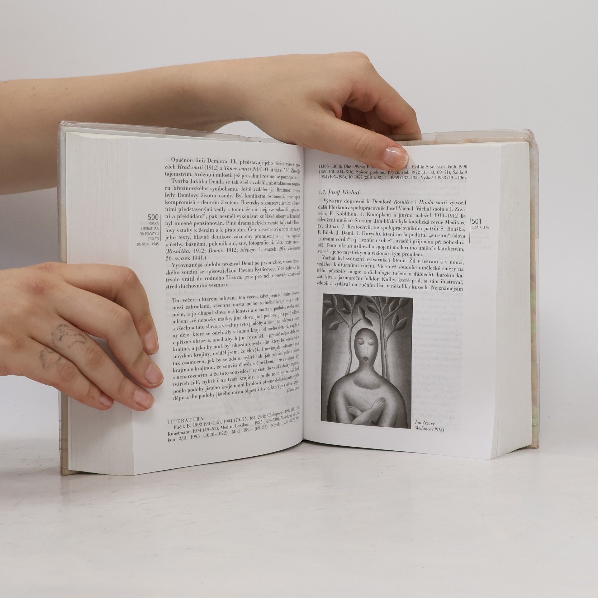 Jiří Holý Česká literatura od počátků k dnešku