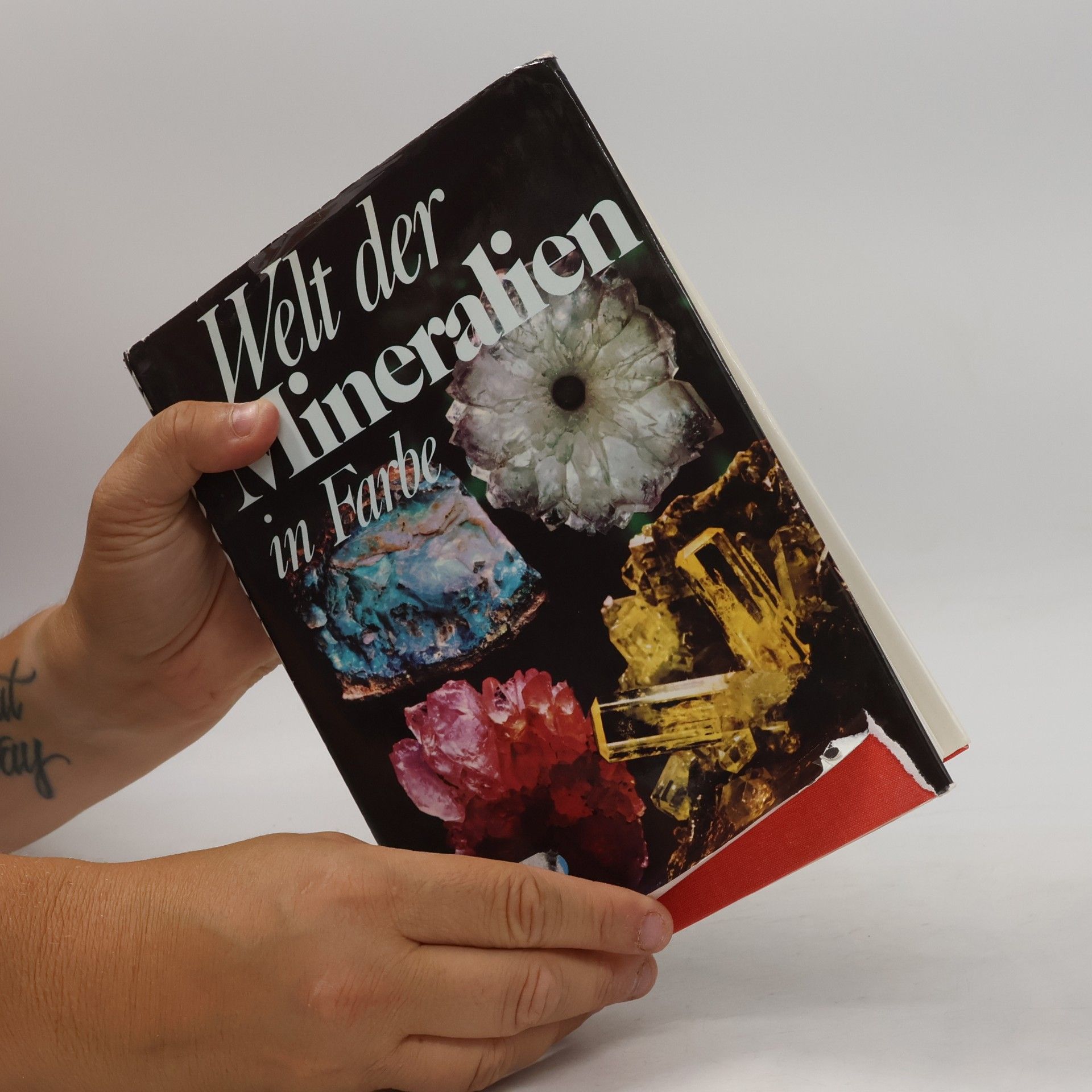 František Tvrz Welt der Mineralien in Farbe
