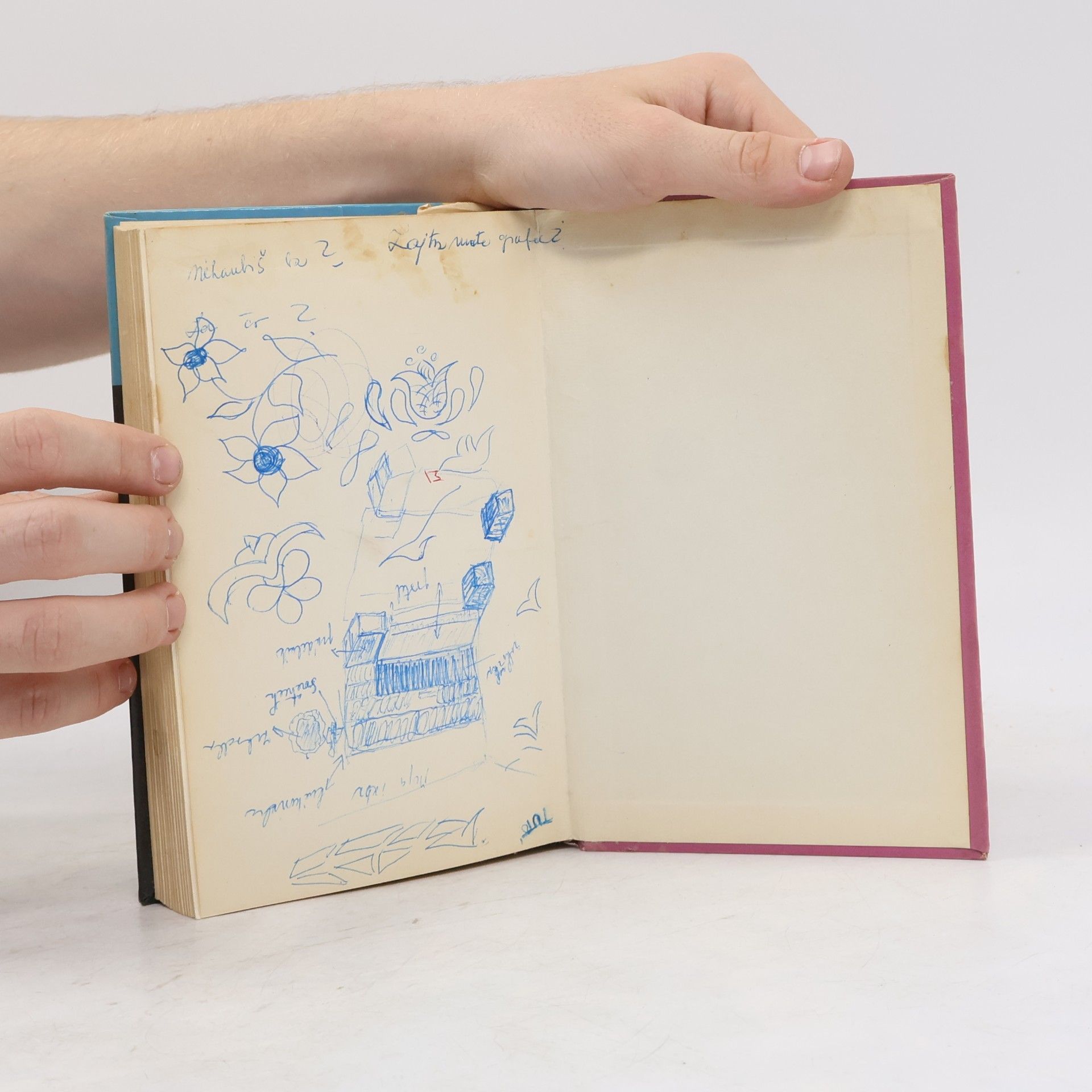 Collectif d'auteurs Fyzika pre každého