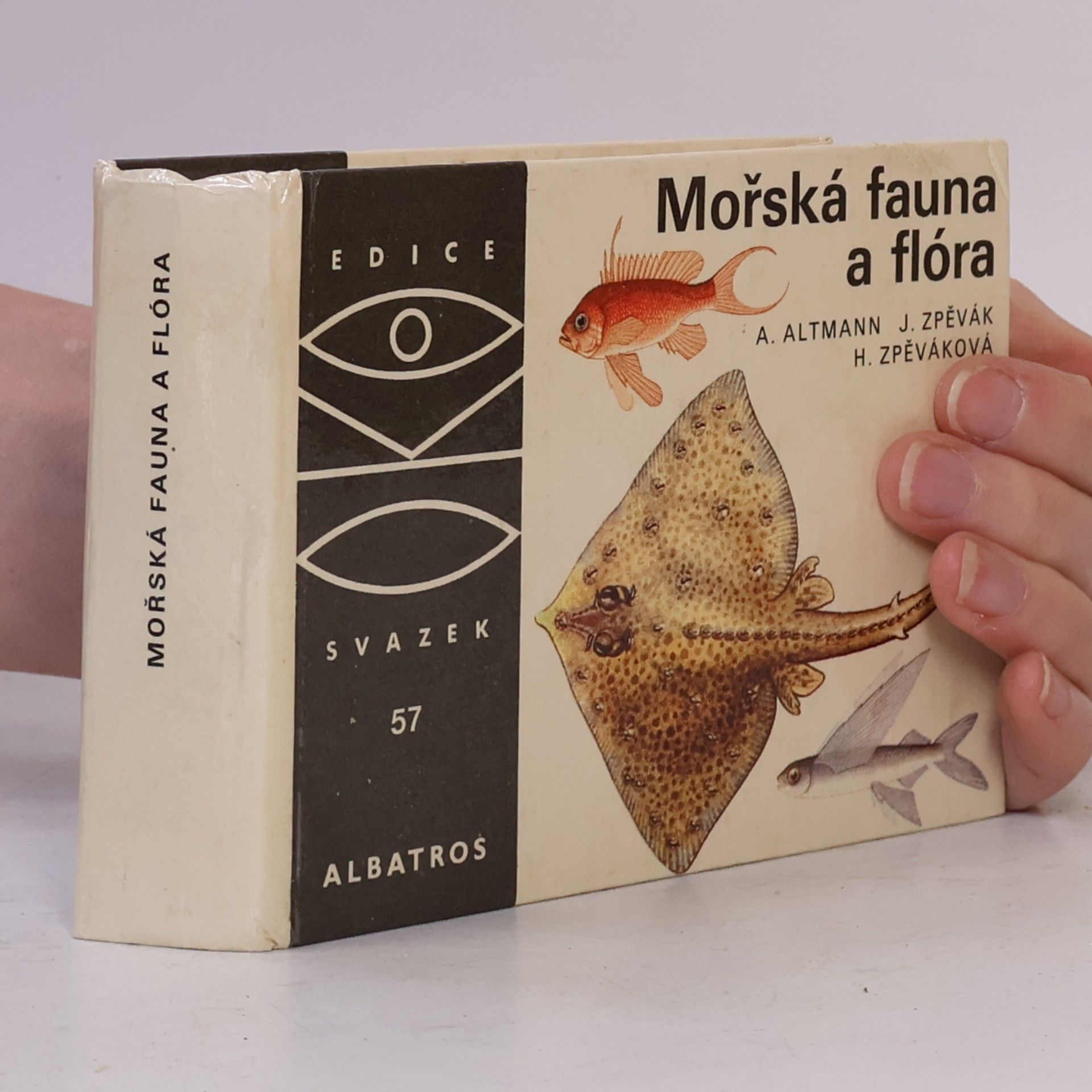 Antonín Altmann Mořská fauna a flóra
