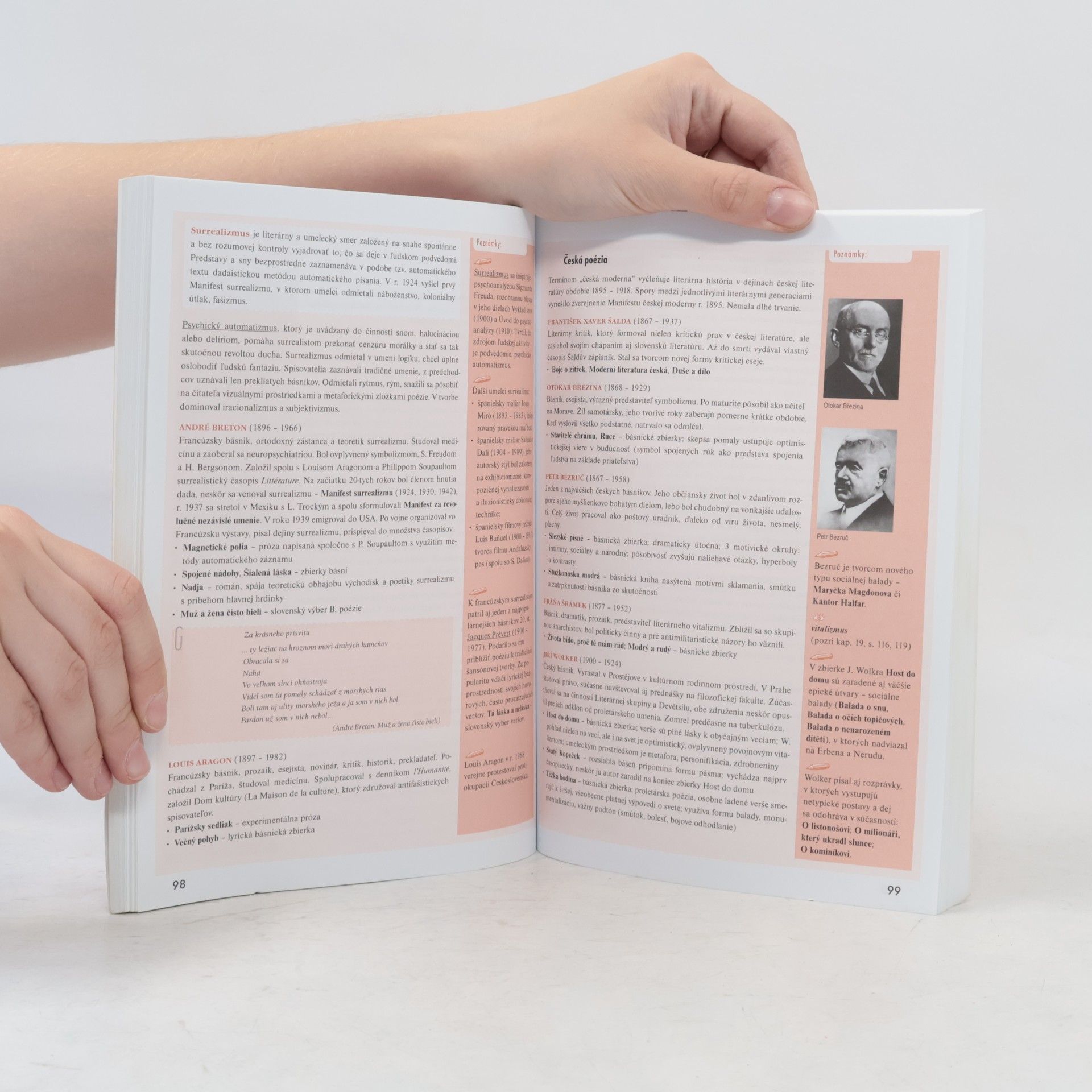 Autorenkollektiv Zmaturuj! z literatúry 1