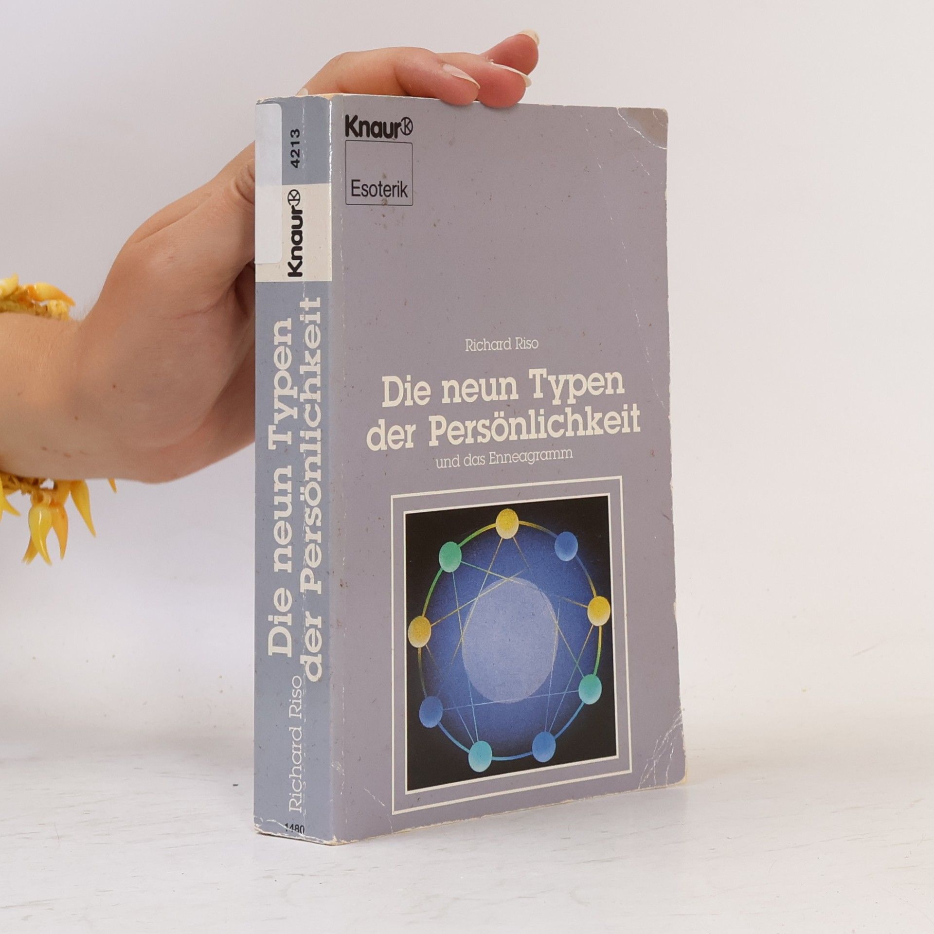 Don Richard Riso Die neun Typen der Persönlichkeit und das Enneagramm